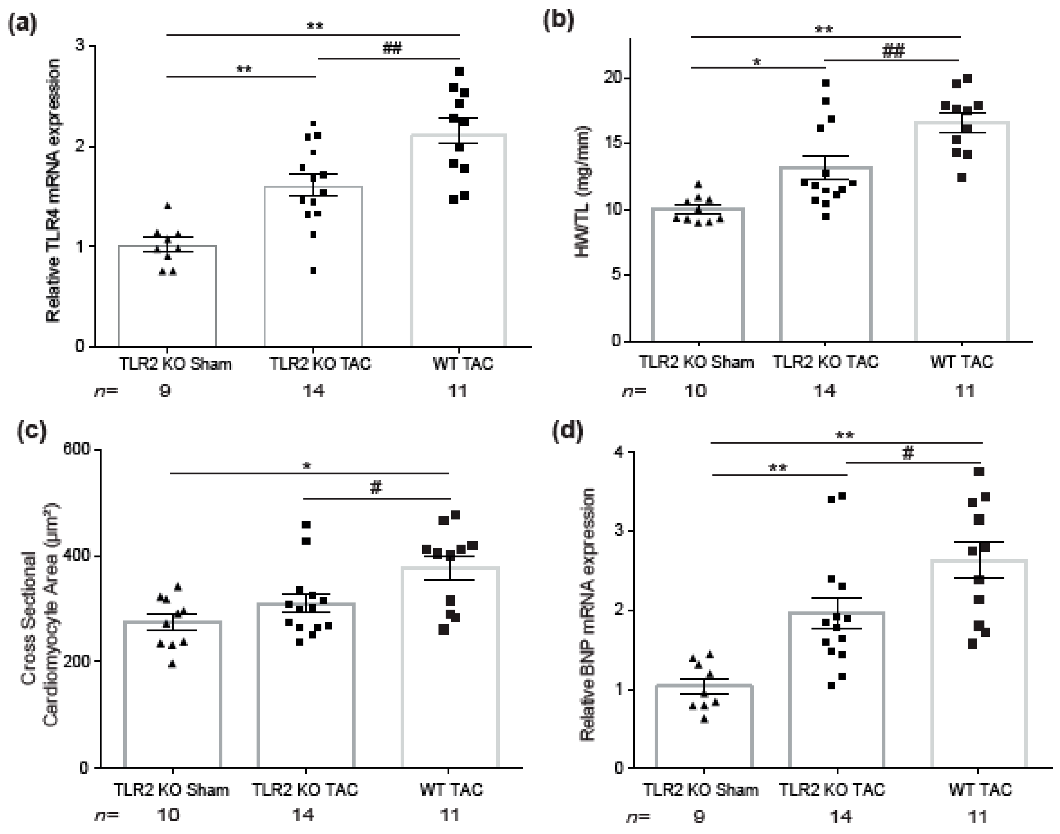 Ijms 22 11823 g003 Ijms 22 11823 g003