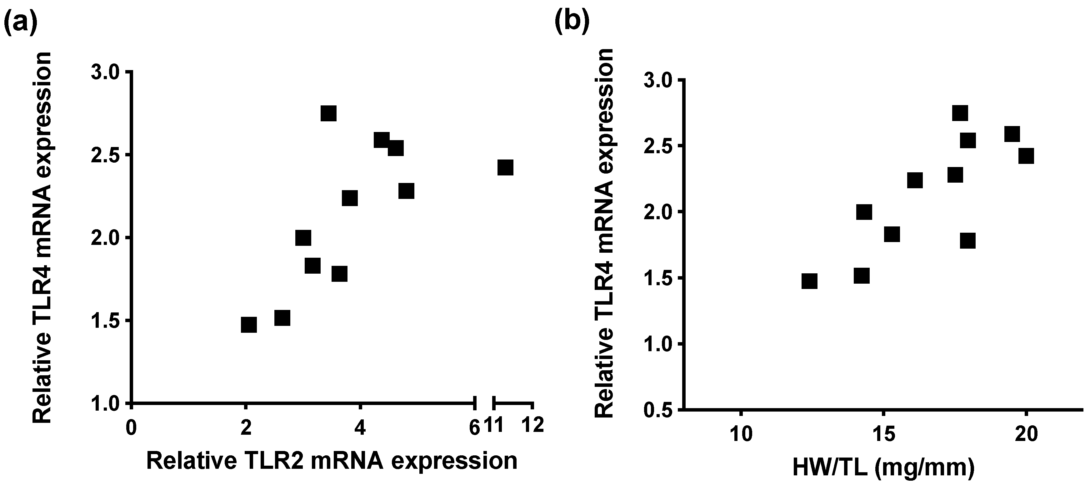 Ijms 22 11823 g004 Ijms 22 11823 g004