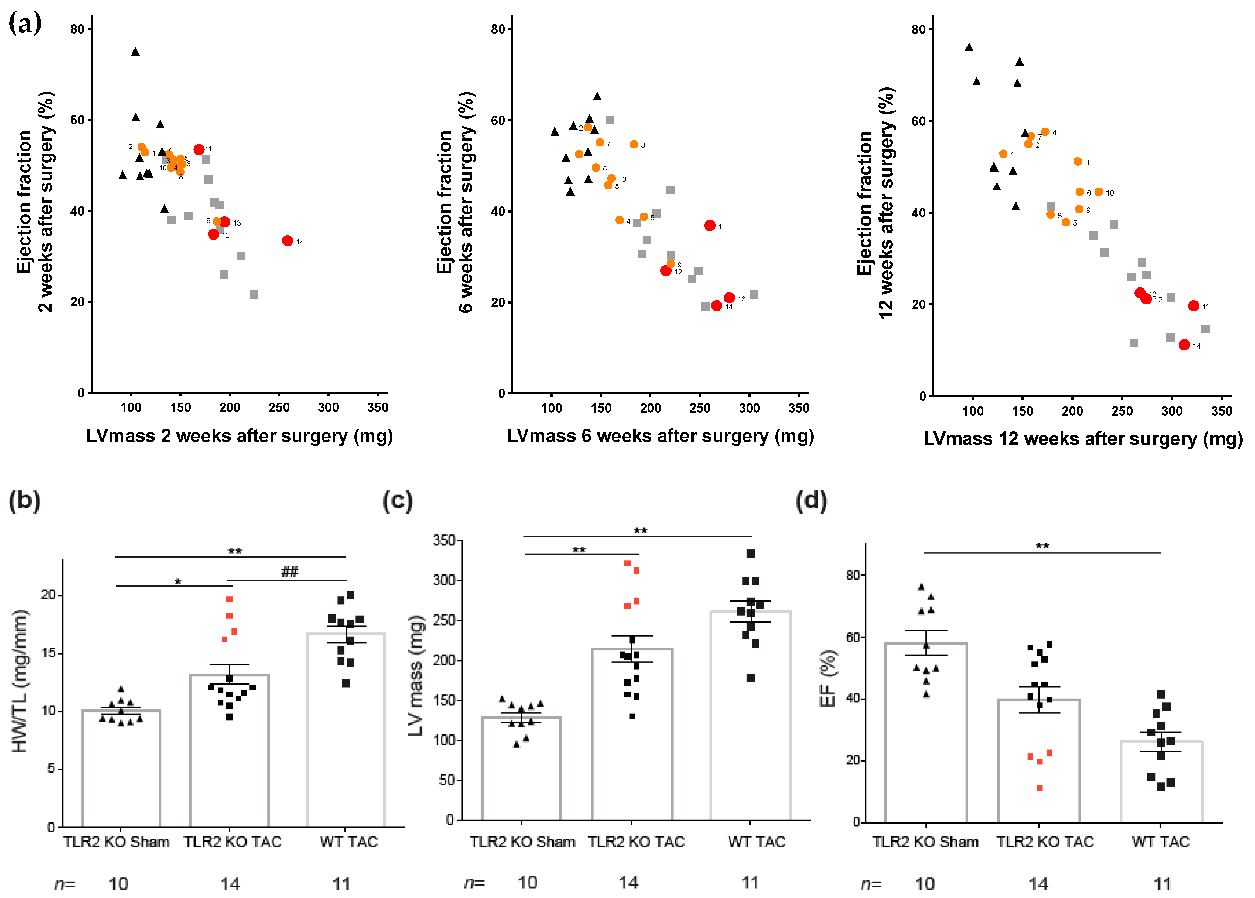 Ijms 22 11823 g005 Ijms 22 11823 g005