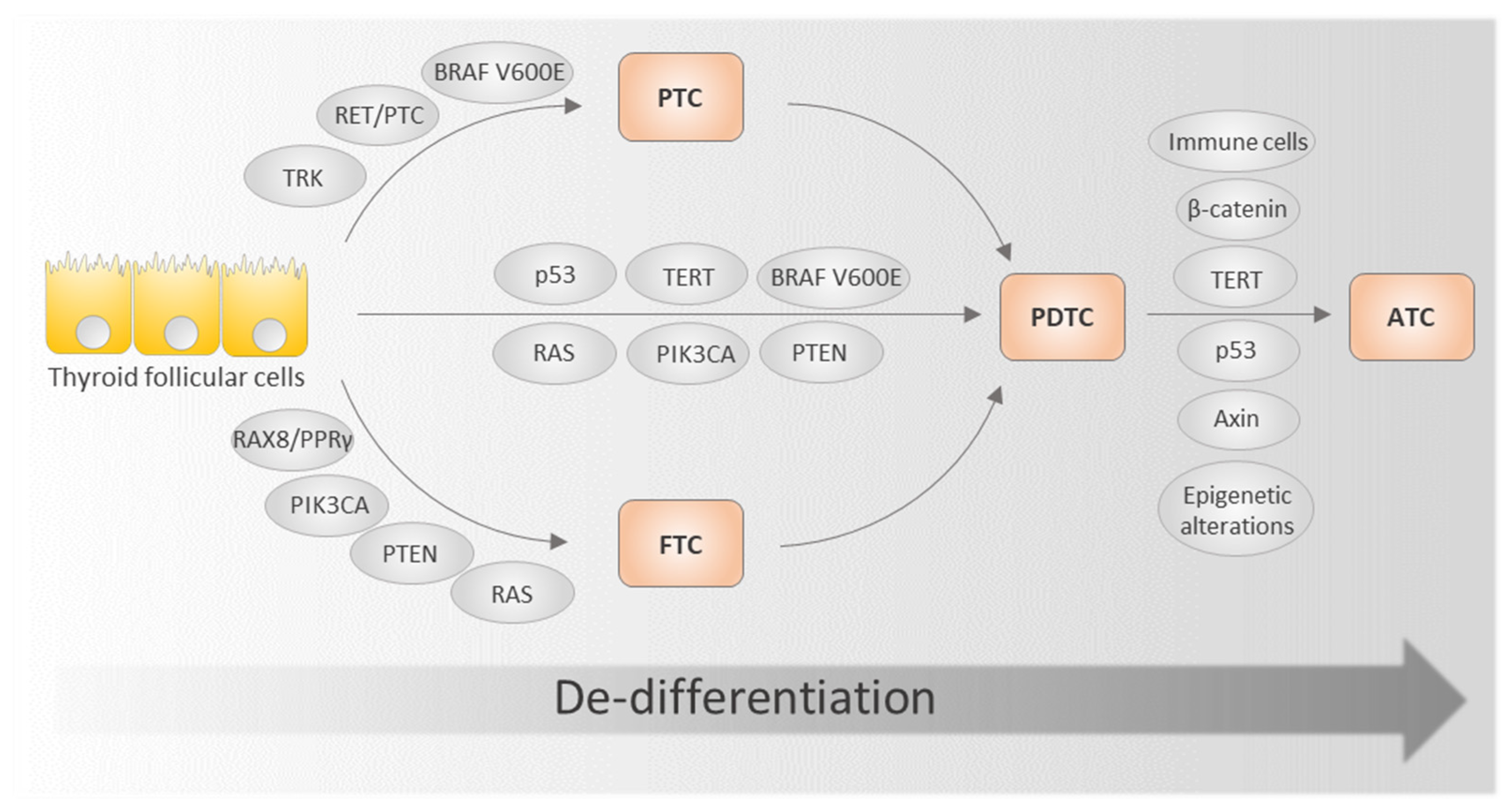 Ijms 22 11829 g001 550