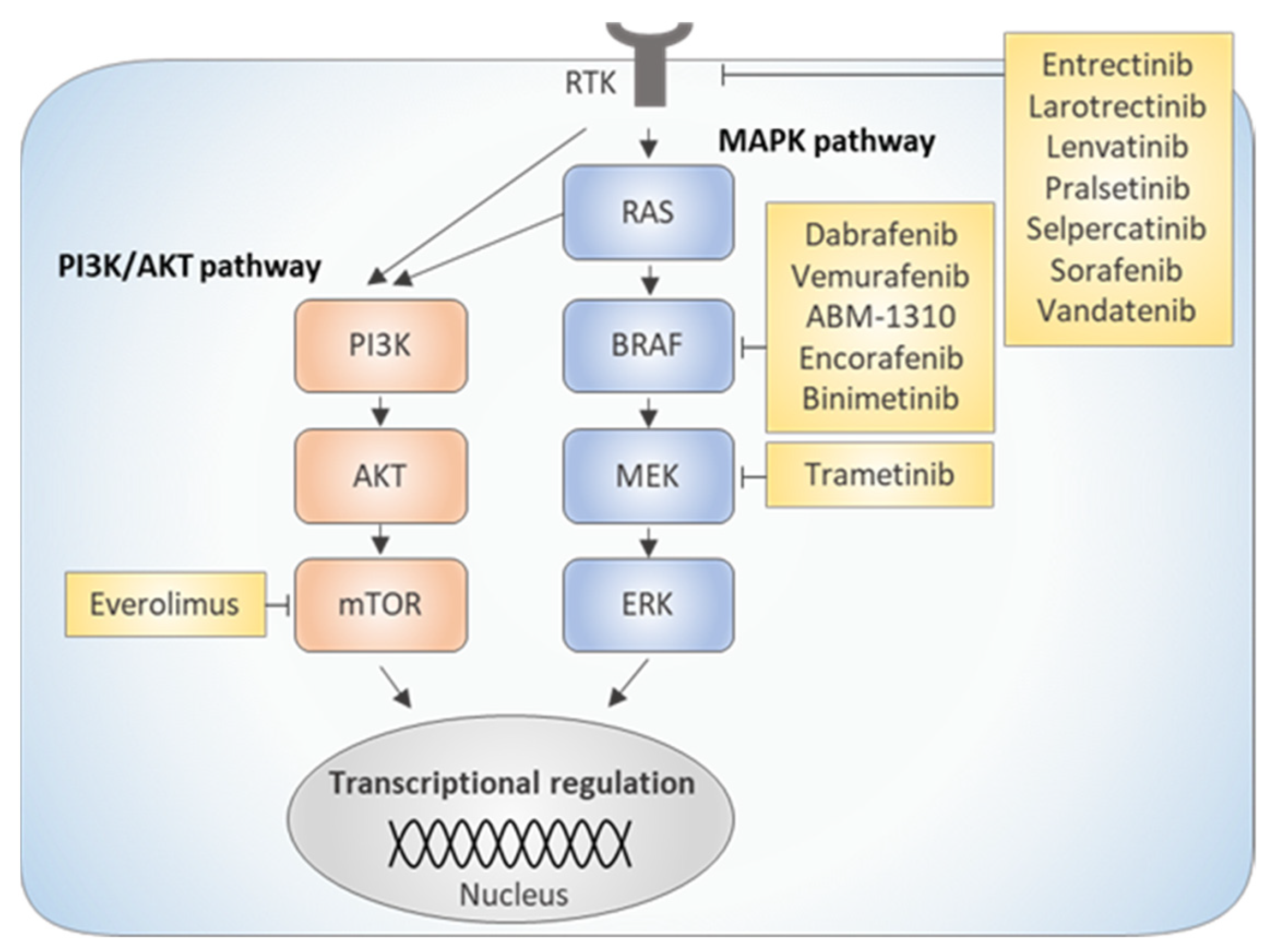 Ijms 22 11829 g002 550