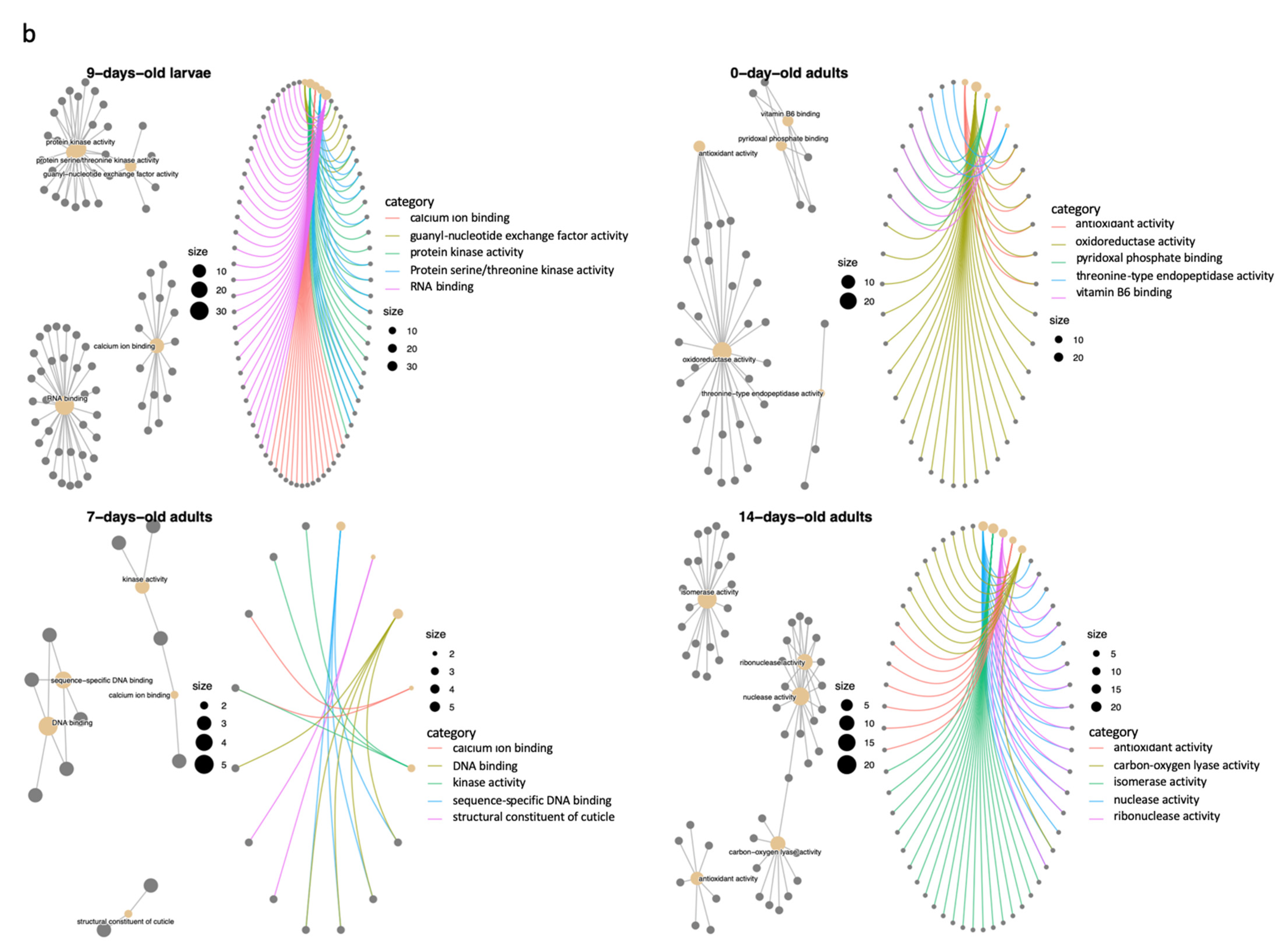Ijms 22 11835 g002b 550
