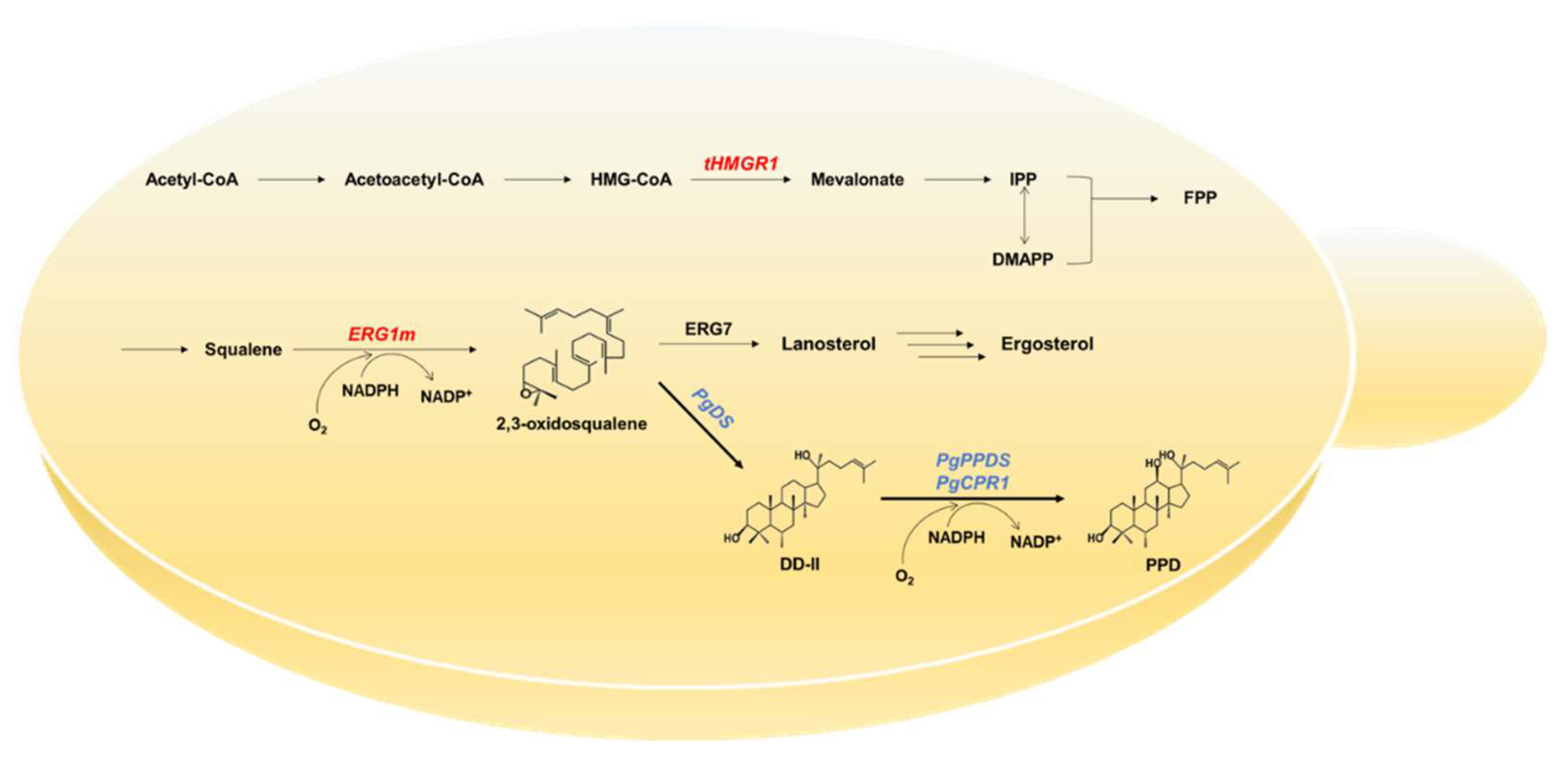 Ijms 22 11836 g001 550