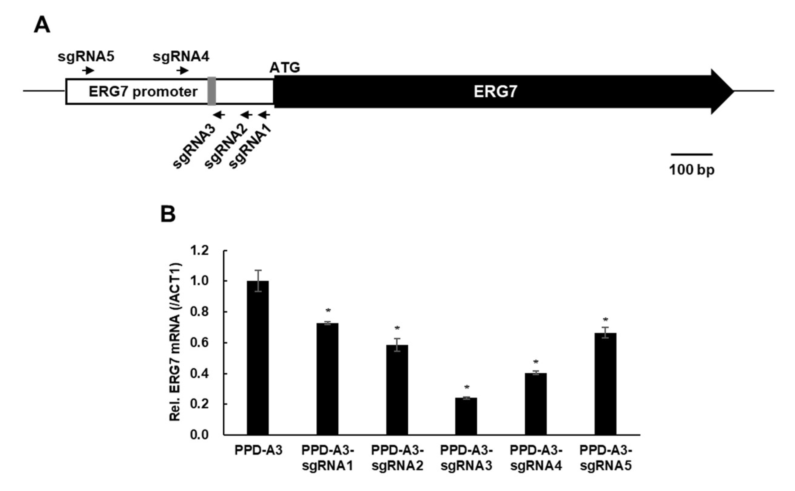 Ijms 22 11836 g003 550