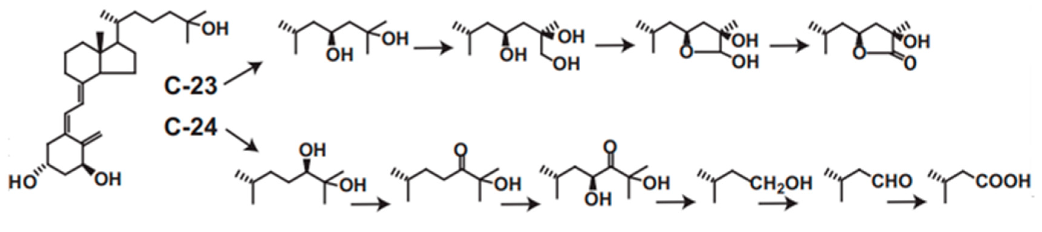 Ijms 22 11839 g003 550