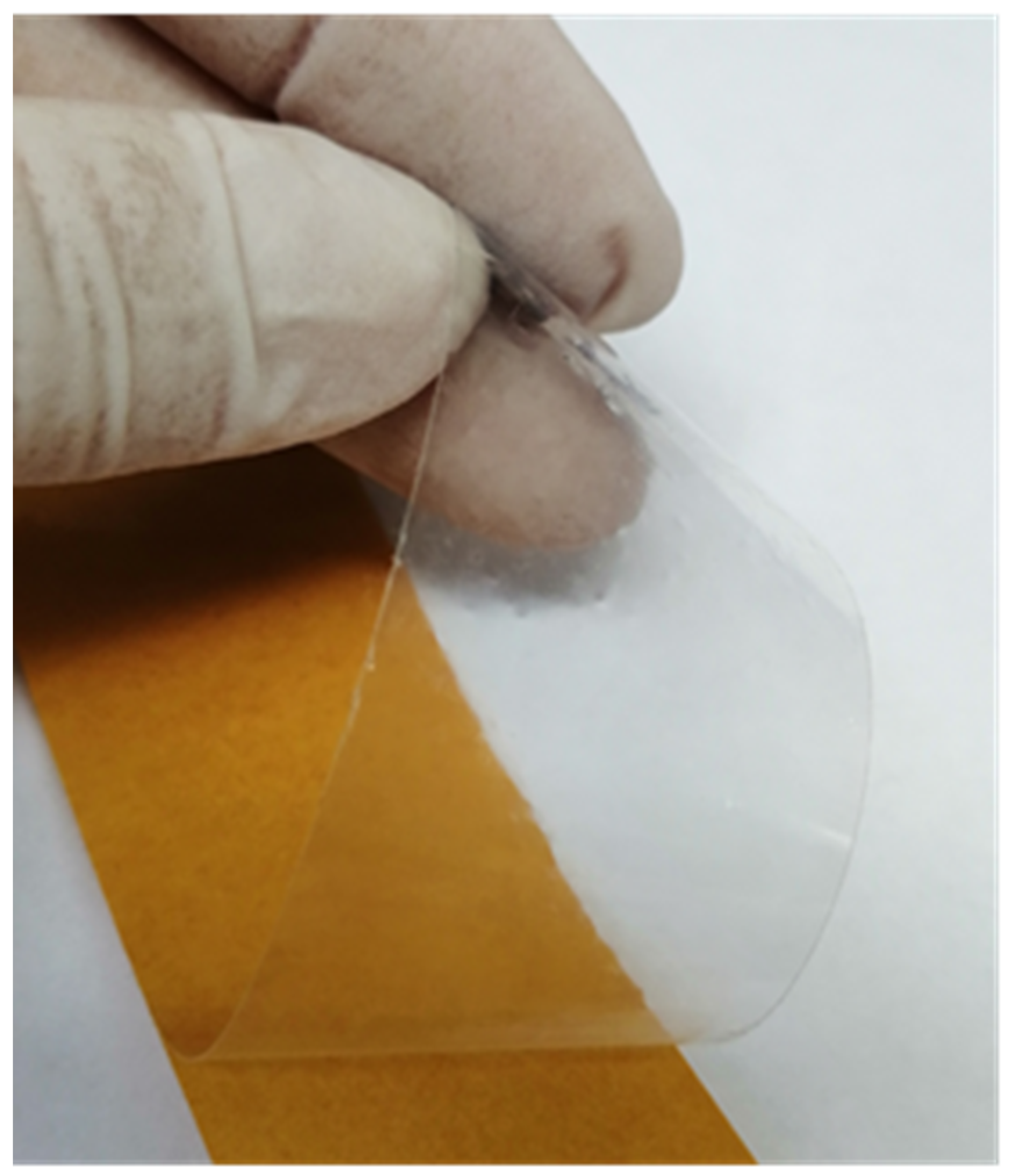 Ijms 22 11840 g001 550