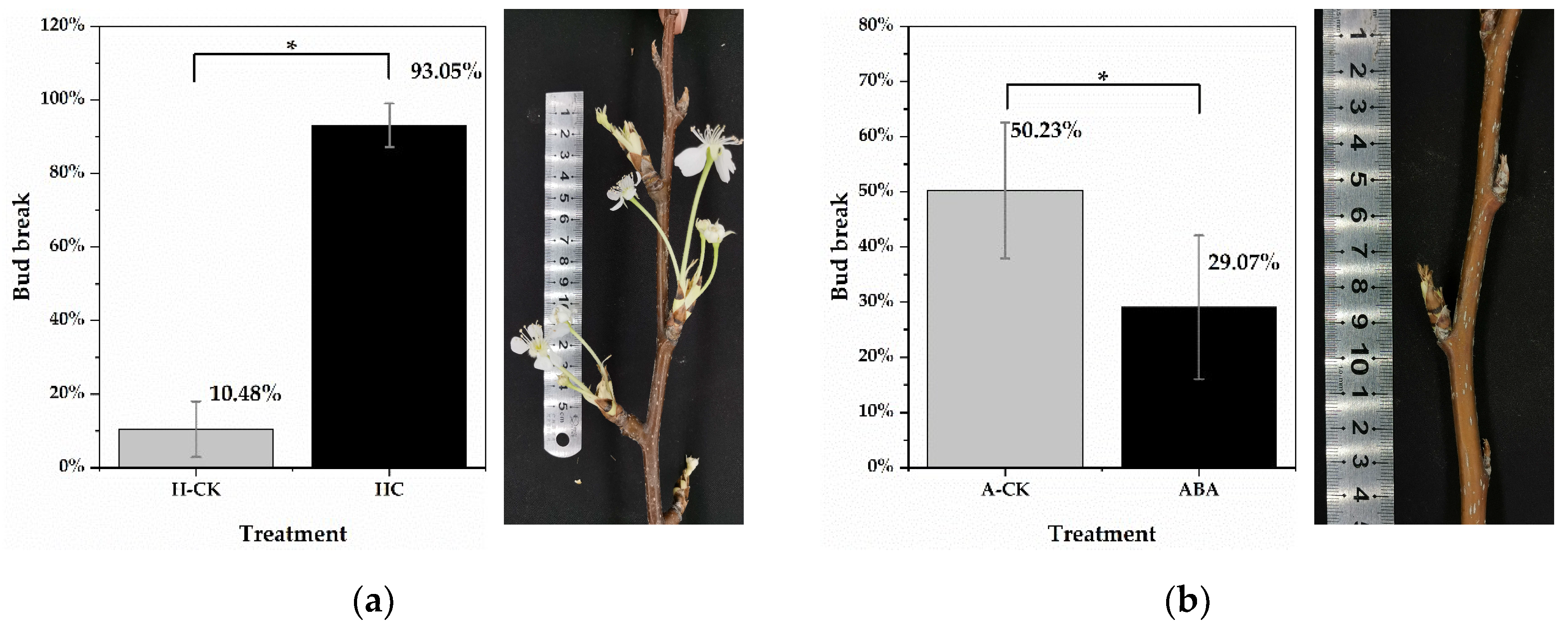 Ijms 22 11842 g001 550