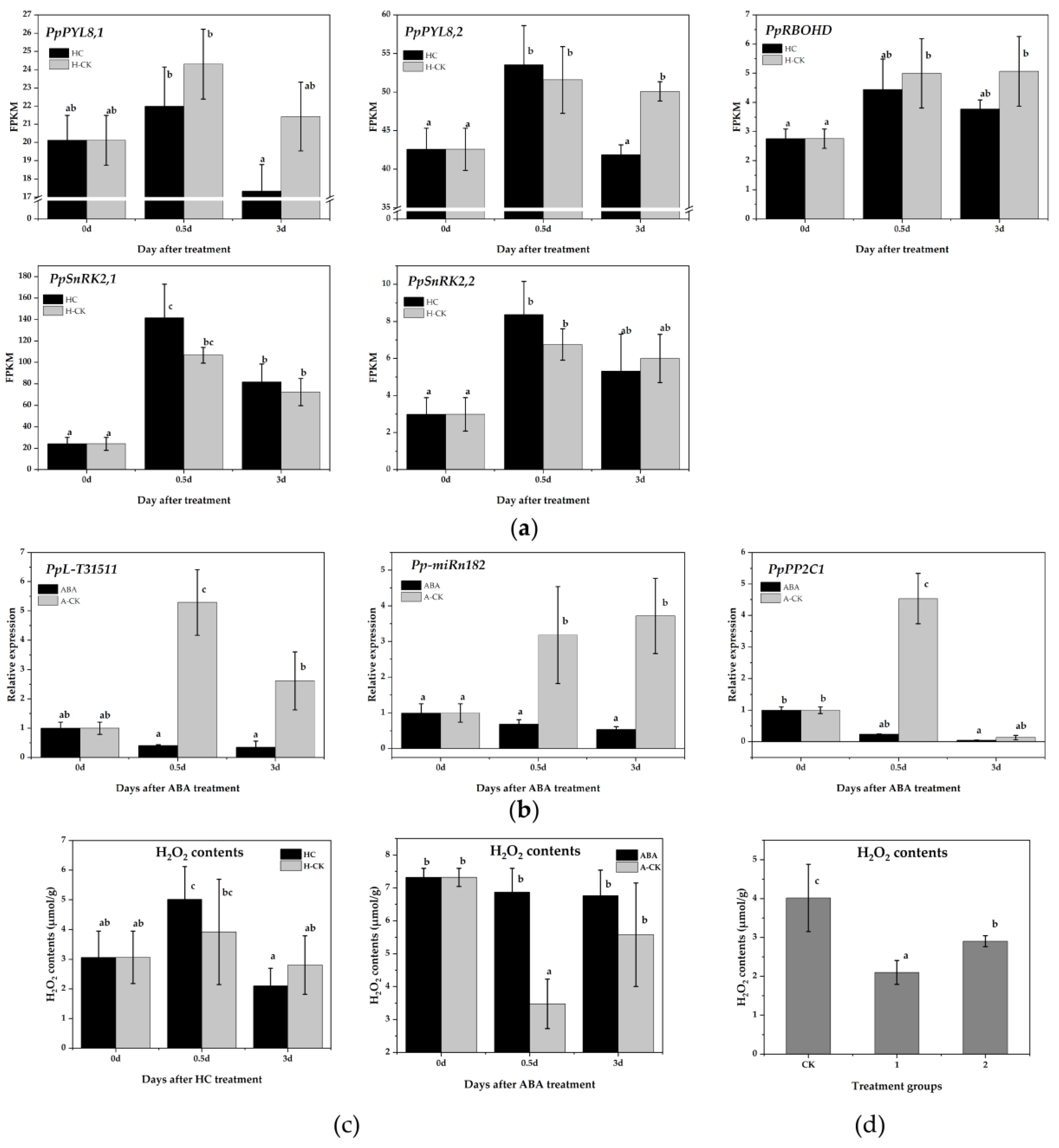 Ijms 22 11842 g005 550