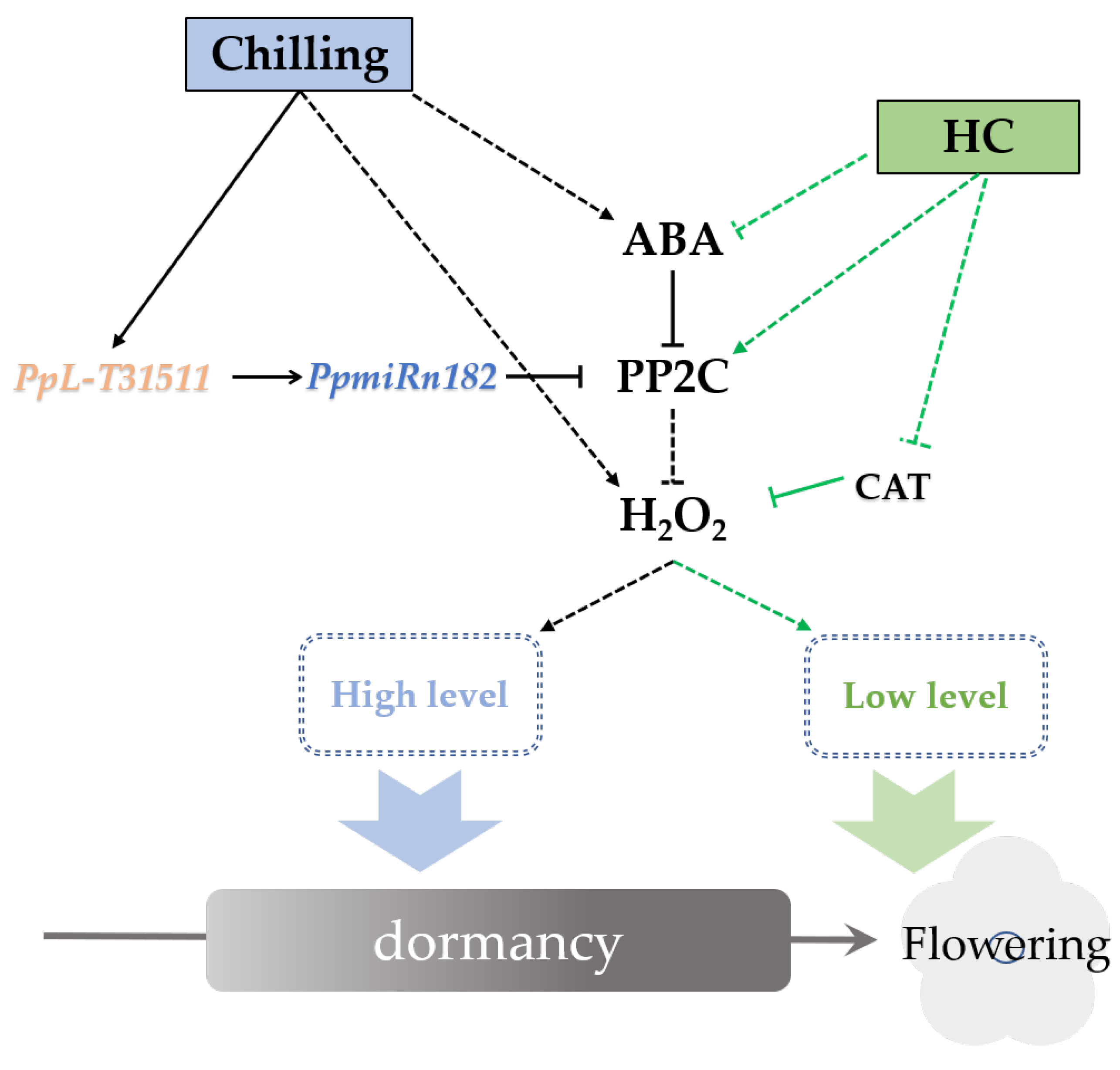 Ijms 22 11842 g006 550