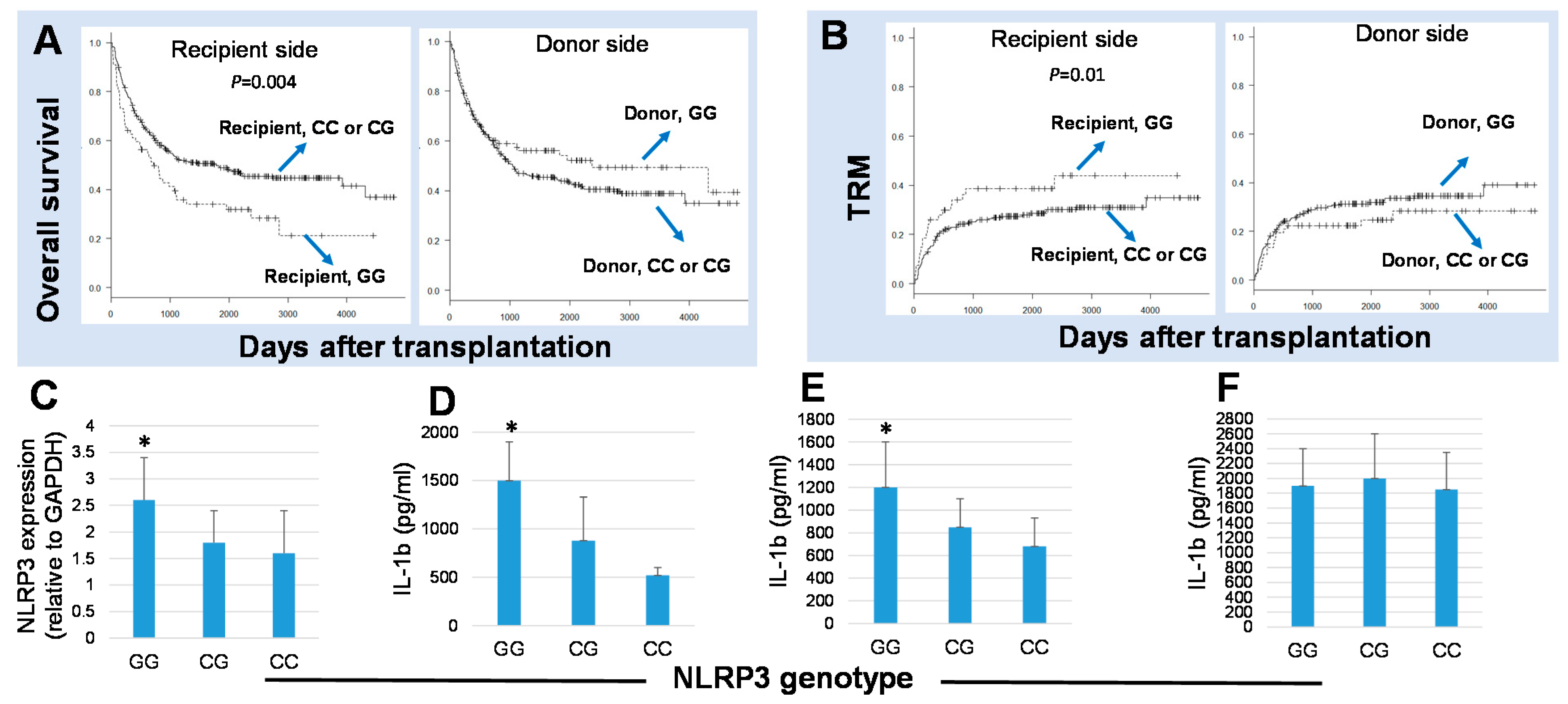 Ijms 22 11845 g001 Ijms 22 11845 g001