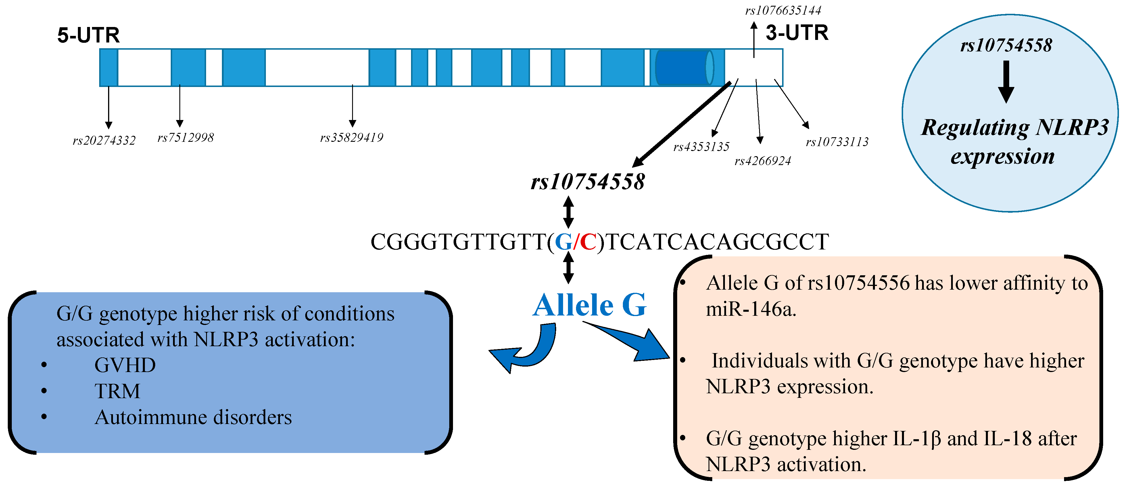 Ijms 22 11845 g002 Ijms 22 11845 g002