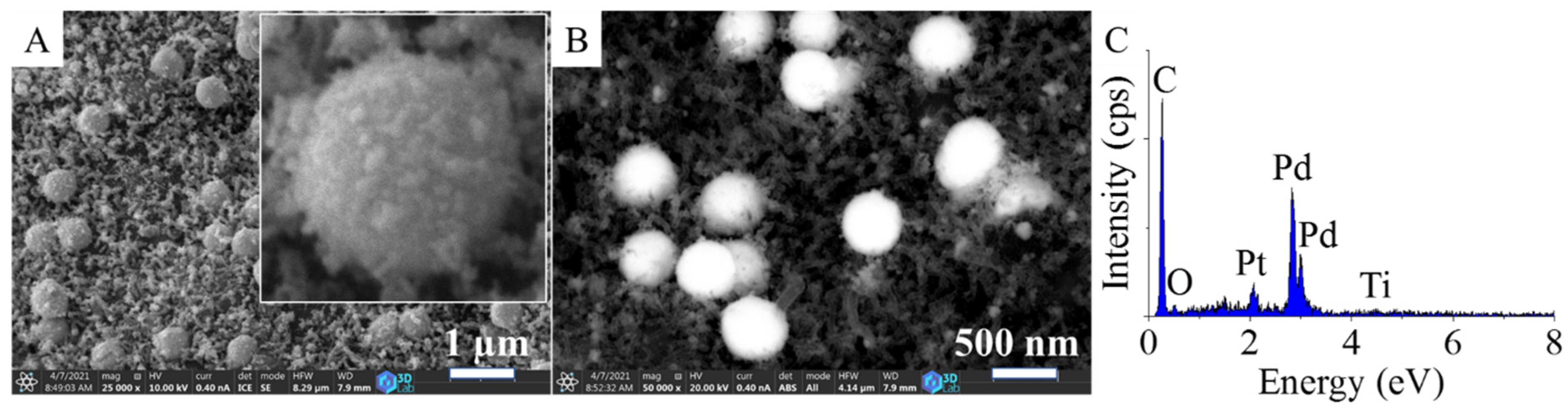 Ijms 22 11846 g004 550