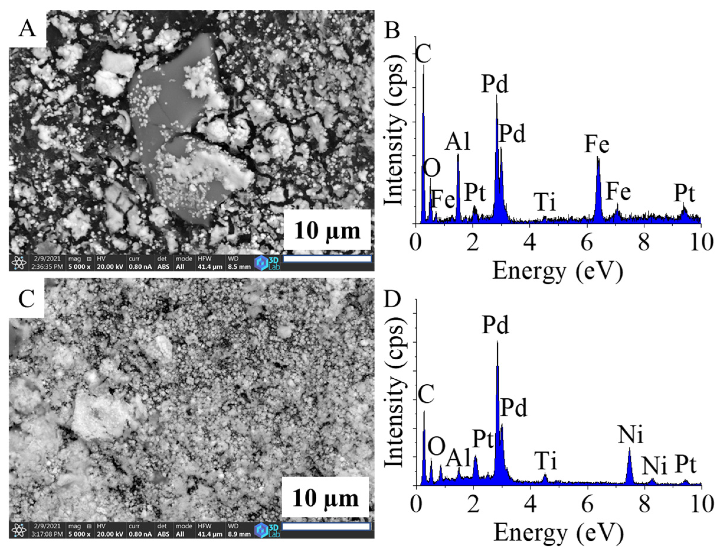 Ijms 22 11846 g005 550