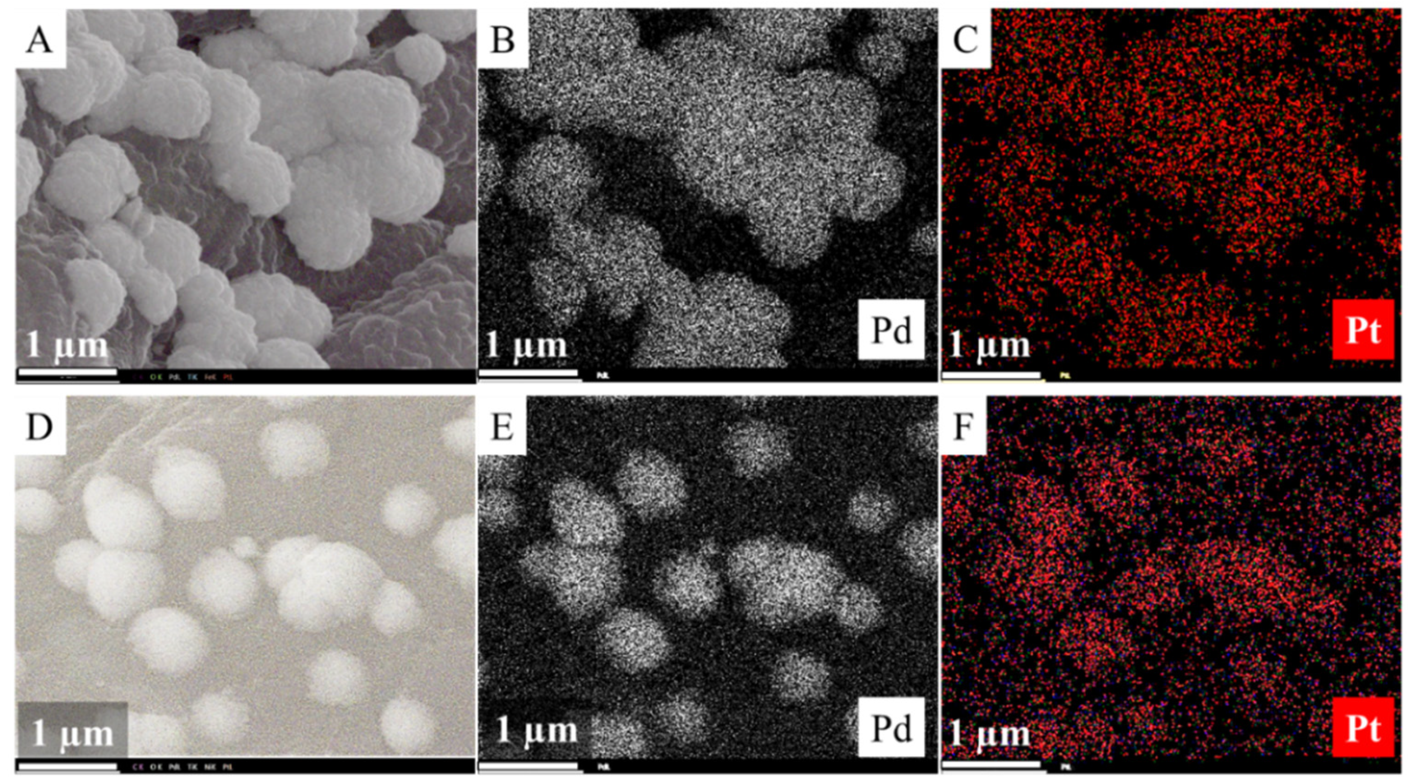 Ijms 22 11846 g007 550