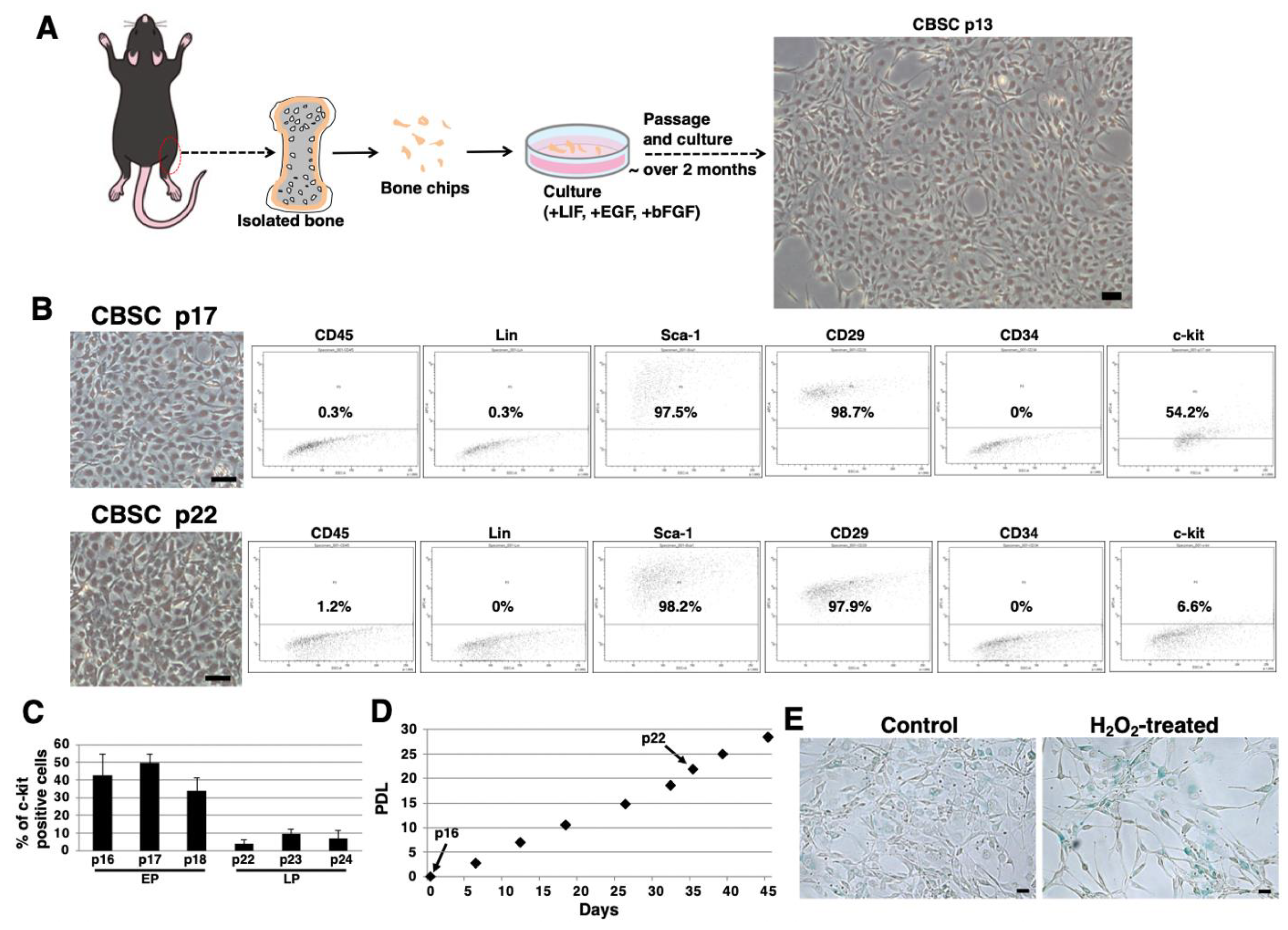 Ijms 22 11849 g001 Ijms 22 11849 g001