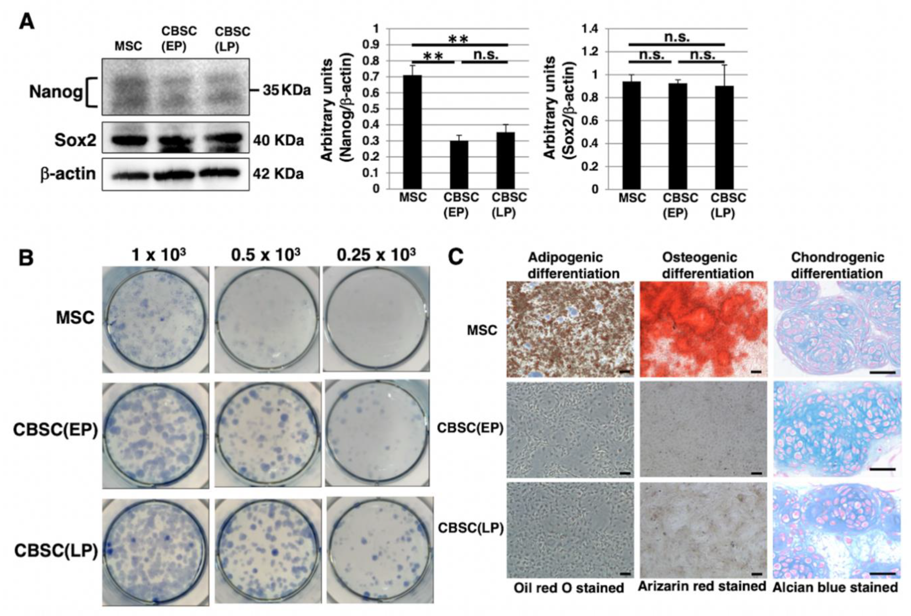 Ijms 22 11849 g002 Ijms 22 11849 g002