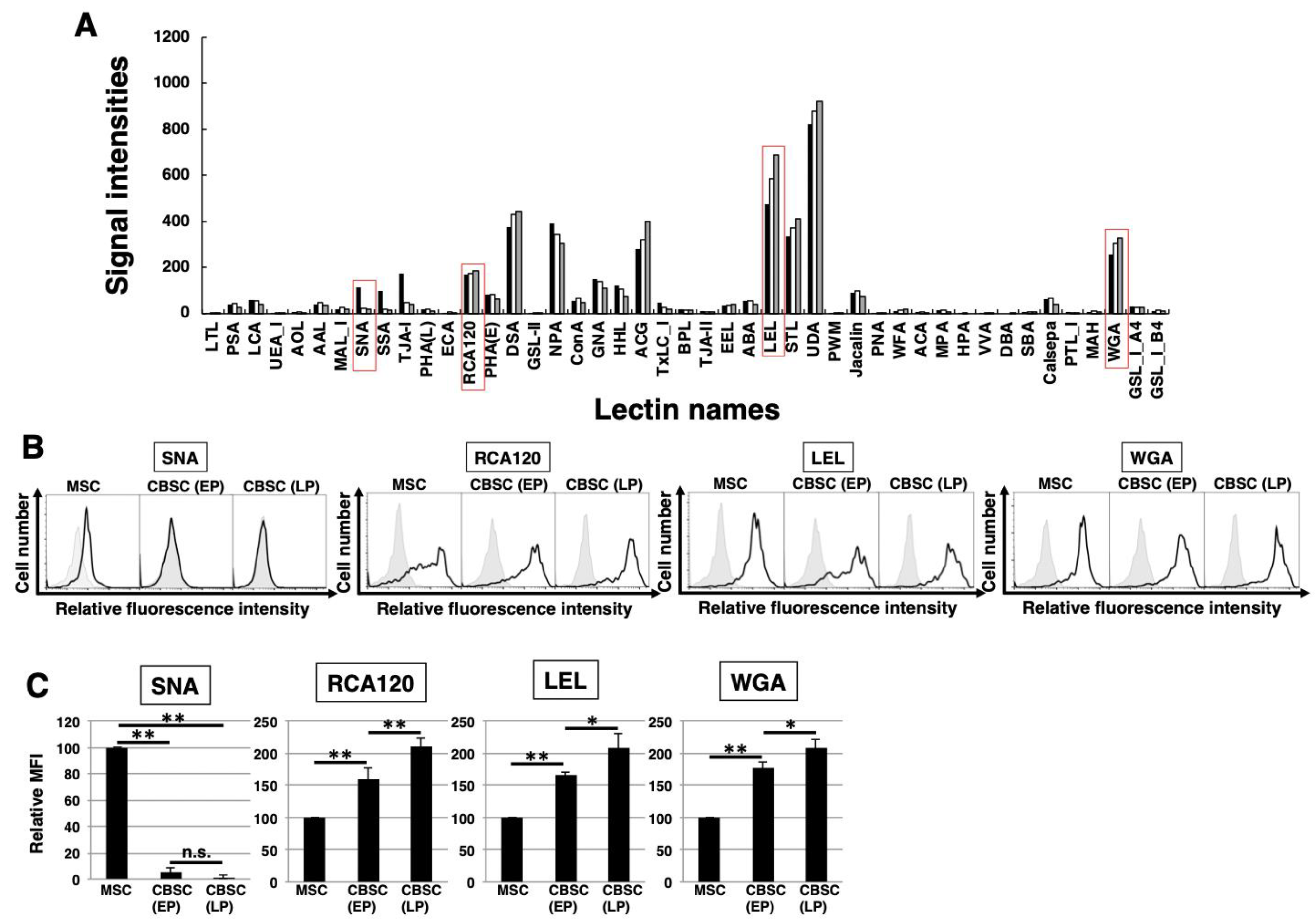 Ijms 22 11849 g003 Ijms 22 11849 g003