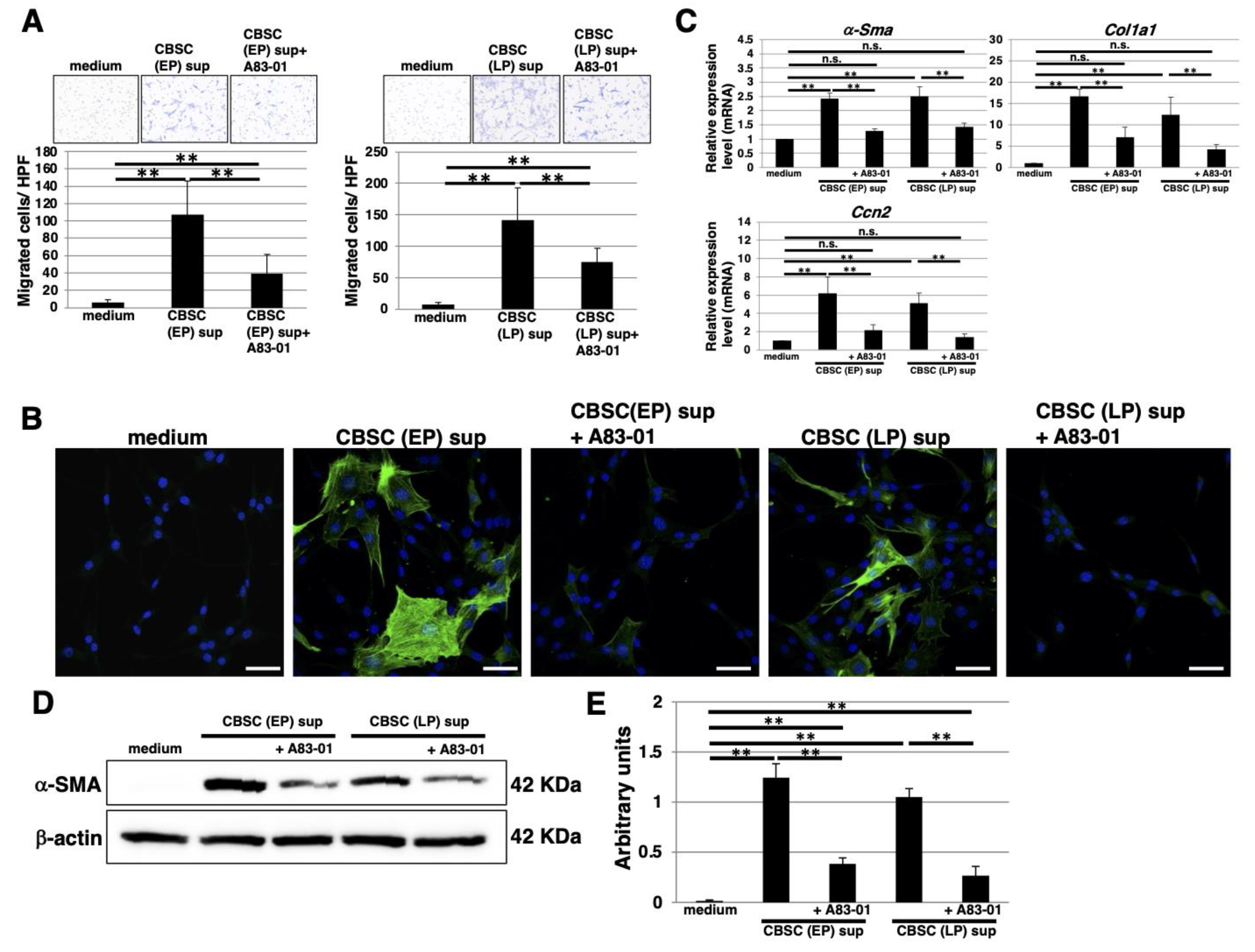 Ijms 22 11849 g006 Ijms 22 11849 g006