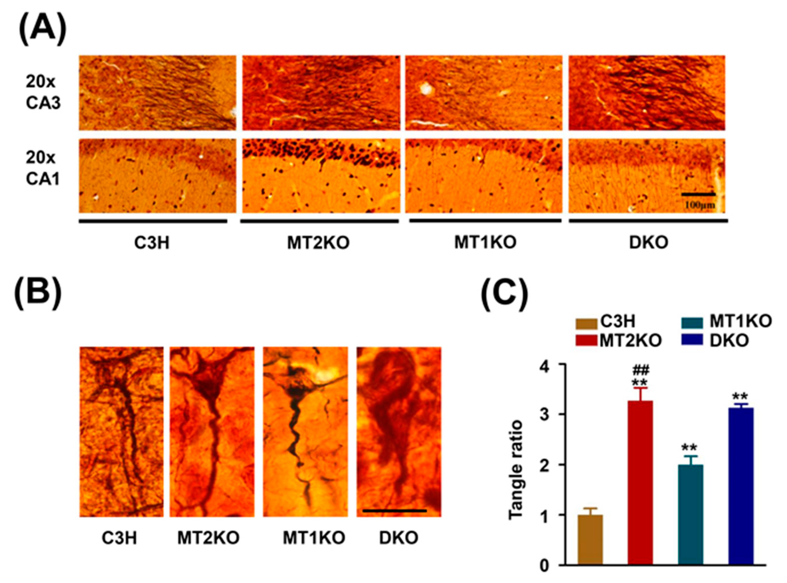 Ijms 22 11850 g002 550