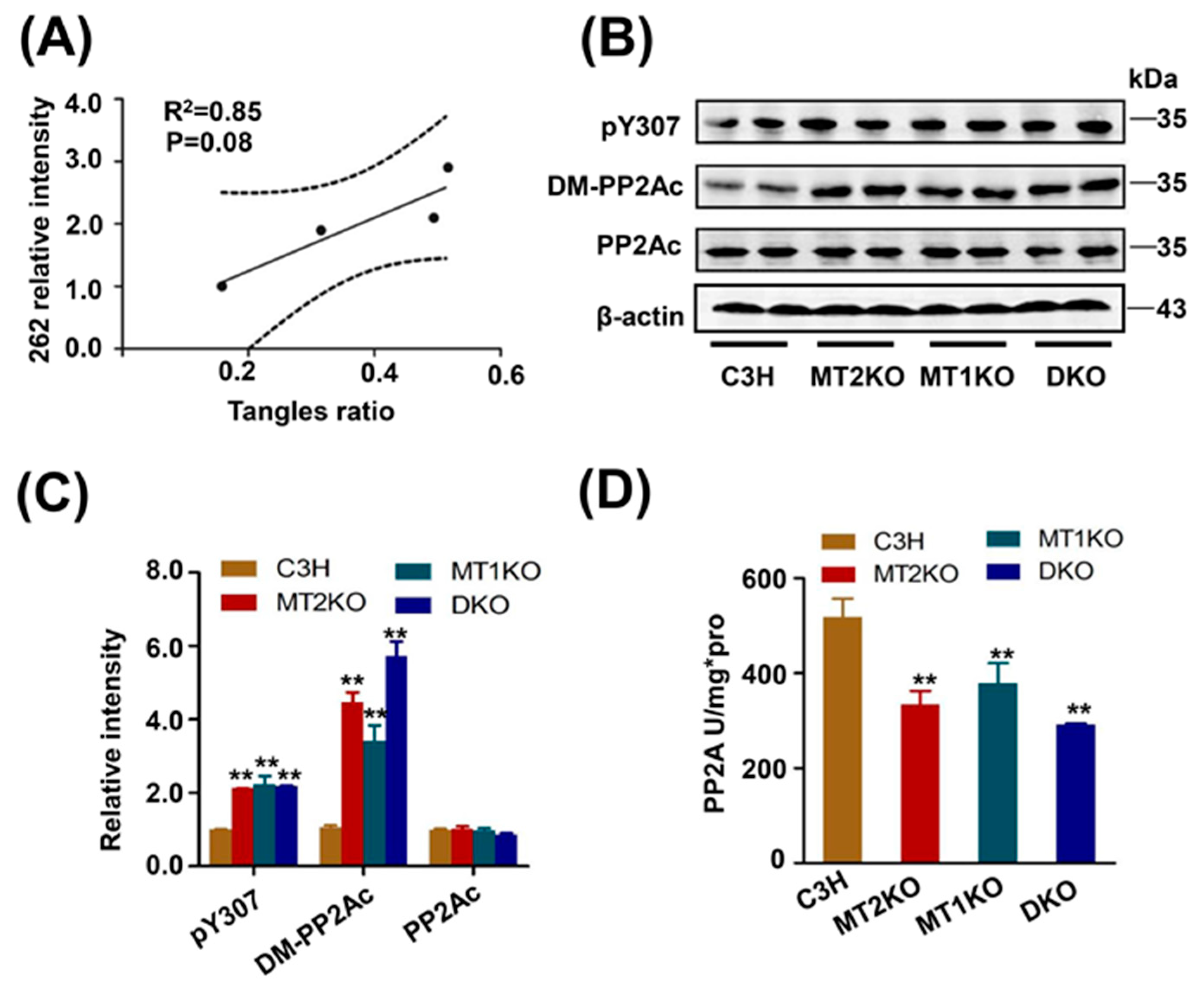 Ijms 22 11850 g003 550