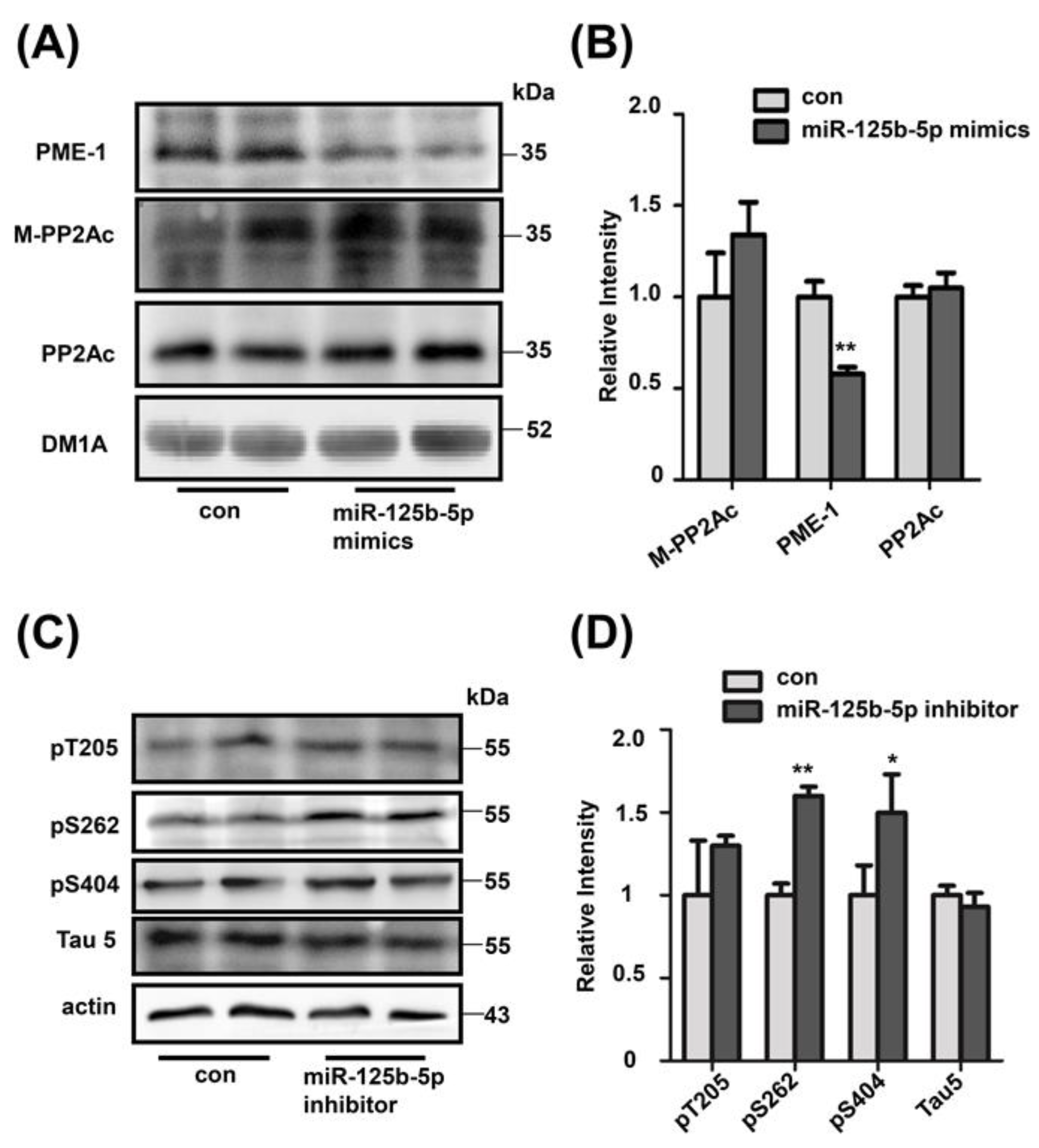 Ijms 22 11850 g006 550