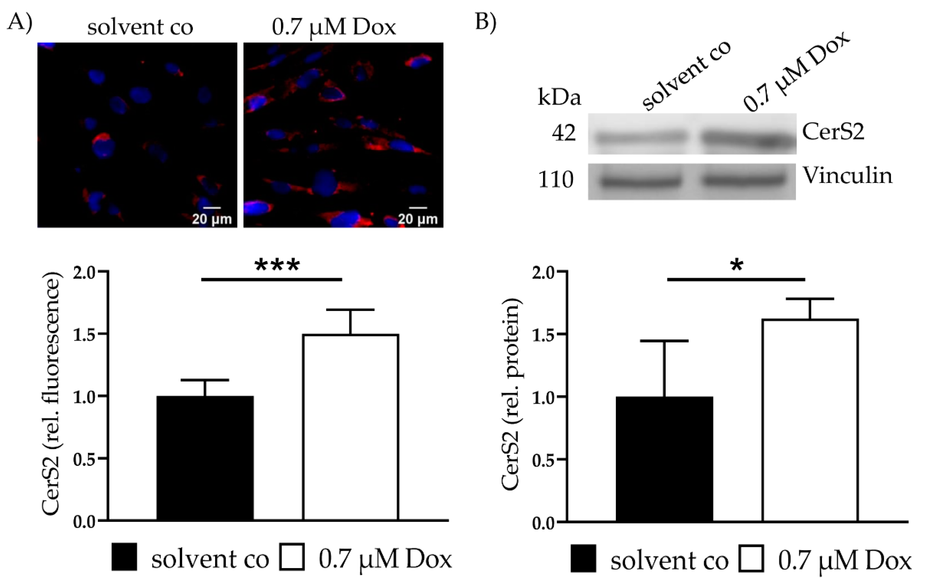 Ijms 22 11852 g001 550