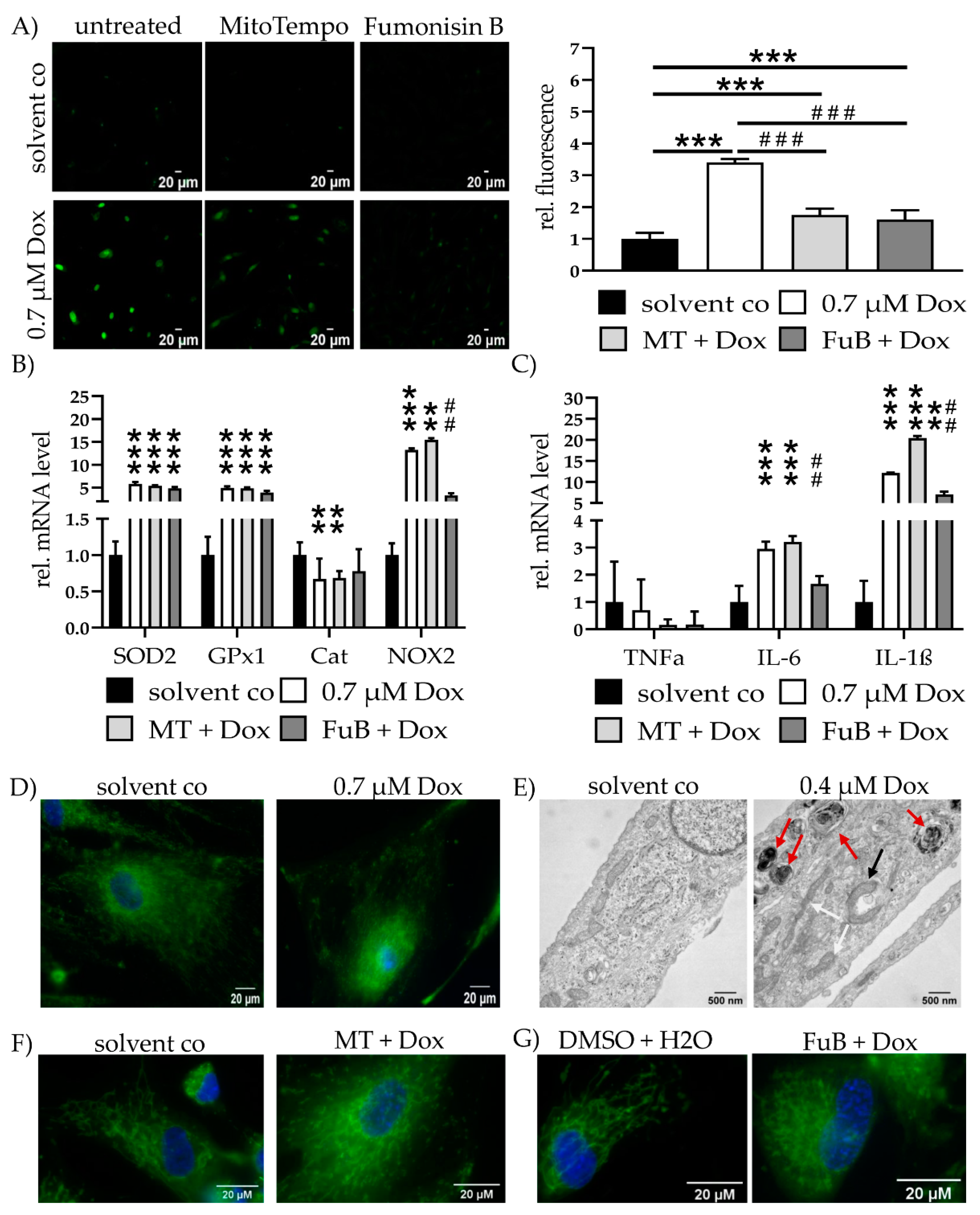 Ijms 22 11852 g002 550