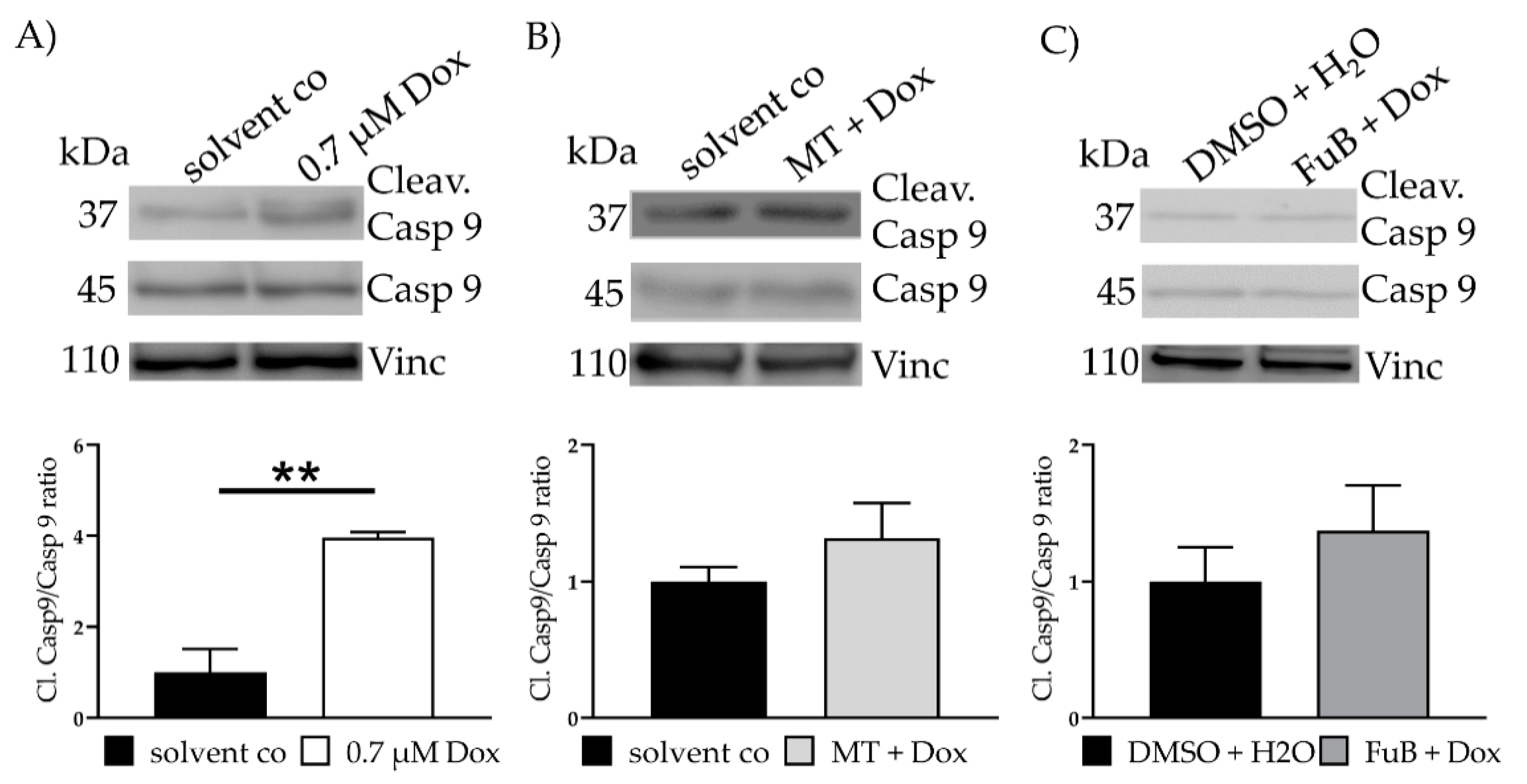 Ijms 22 11852 g004 550