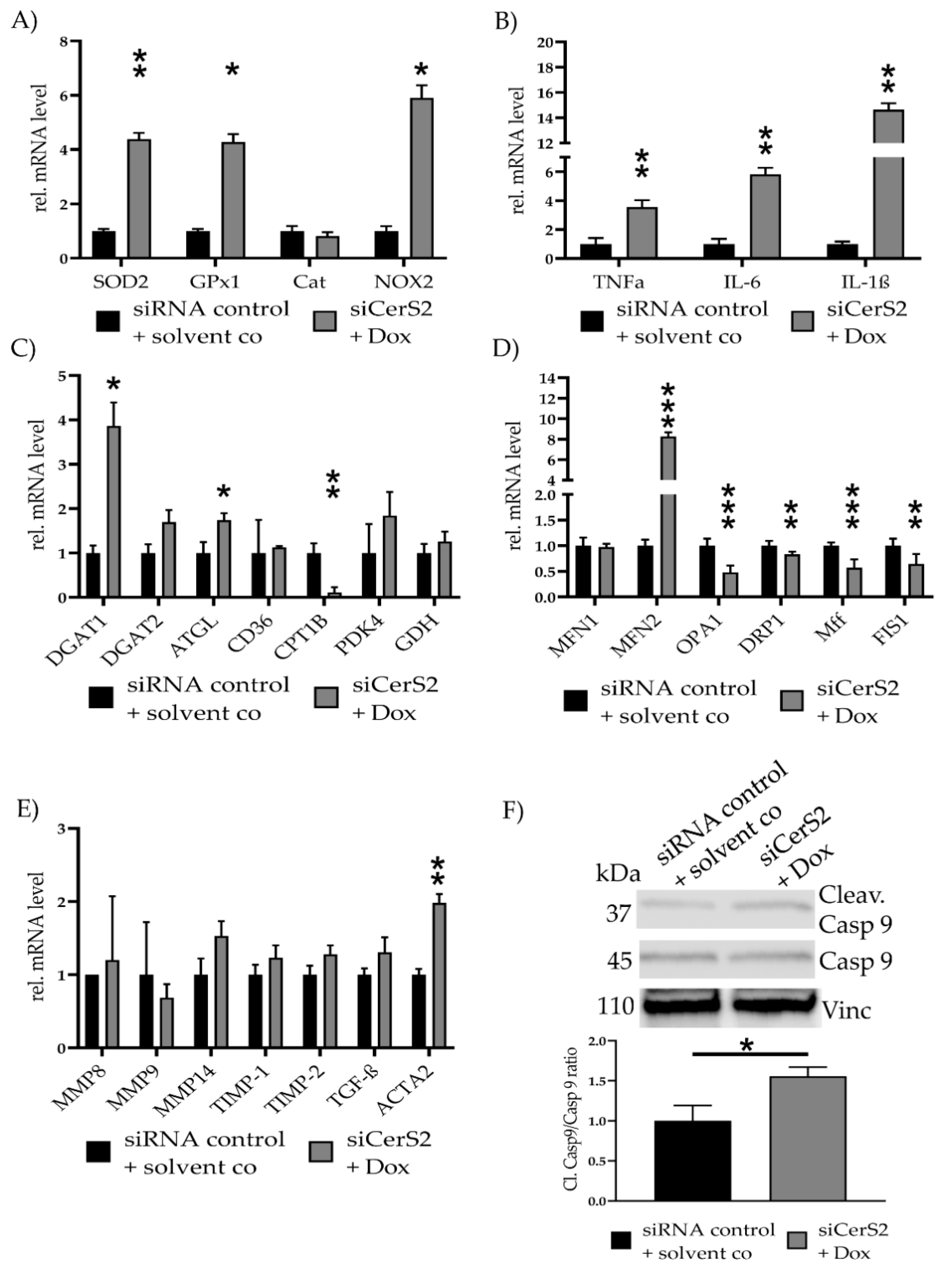 Ijms 22 11852 g006 550