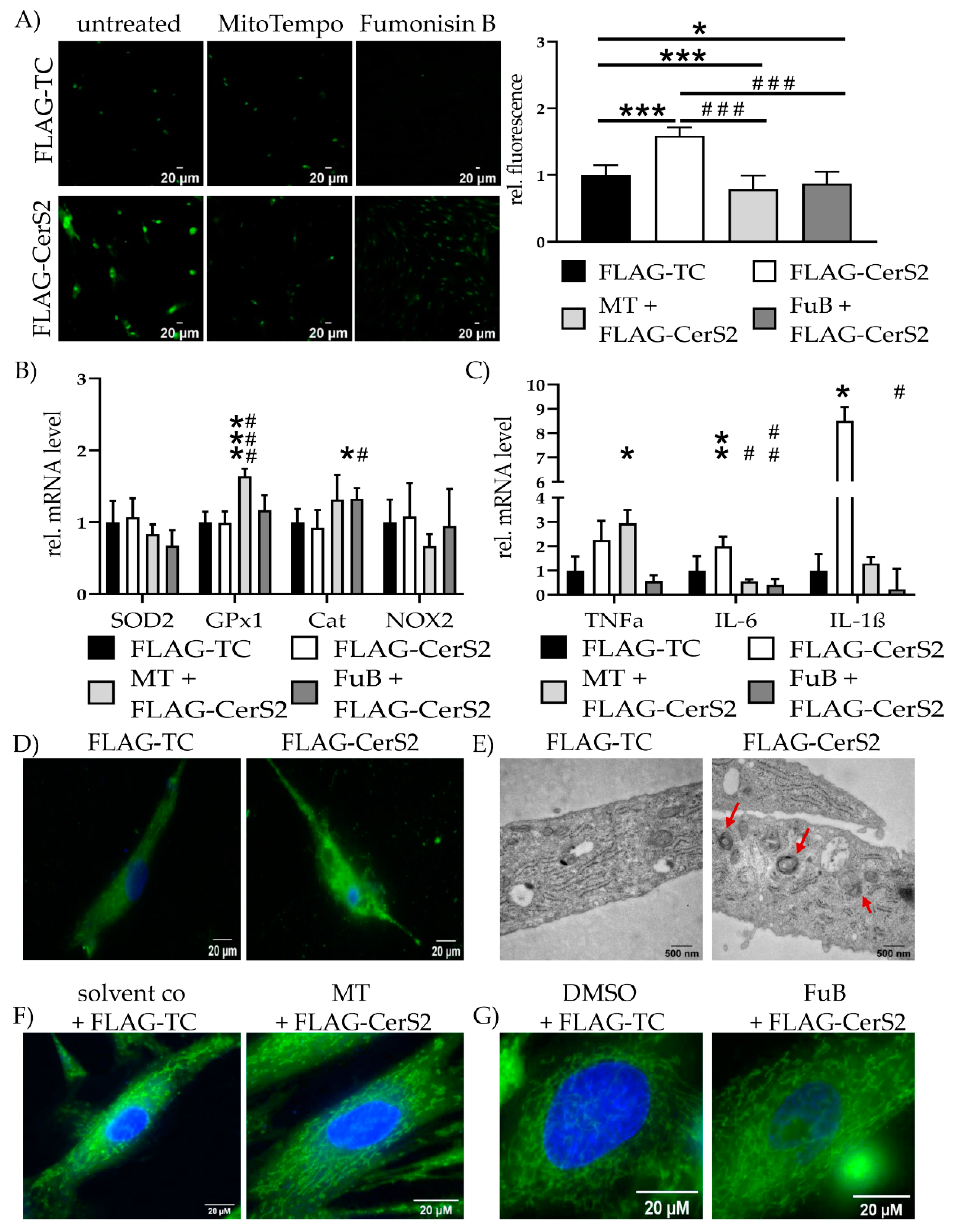 Ijms 22 11852 g008 550