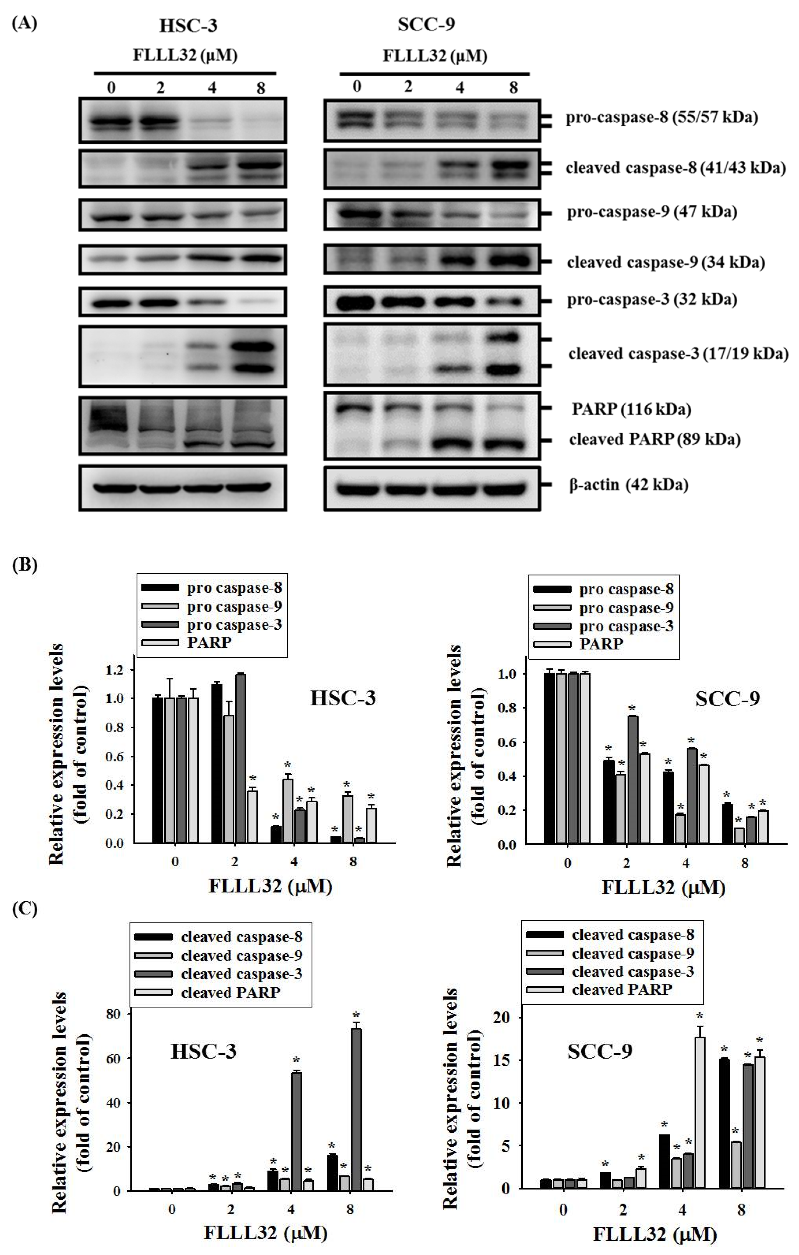 Ijms 22 11860 g005 550