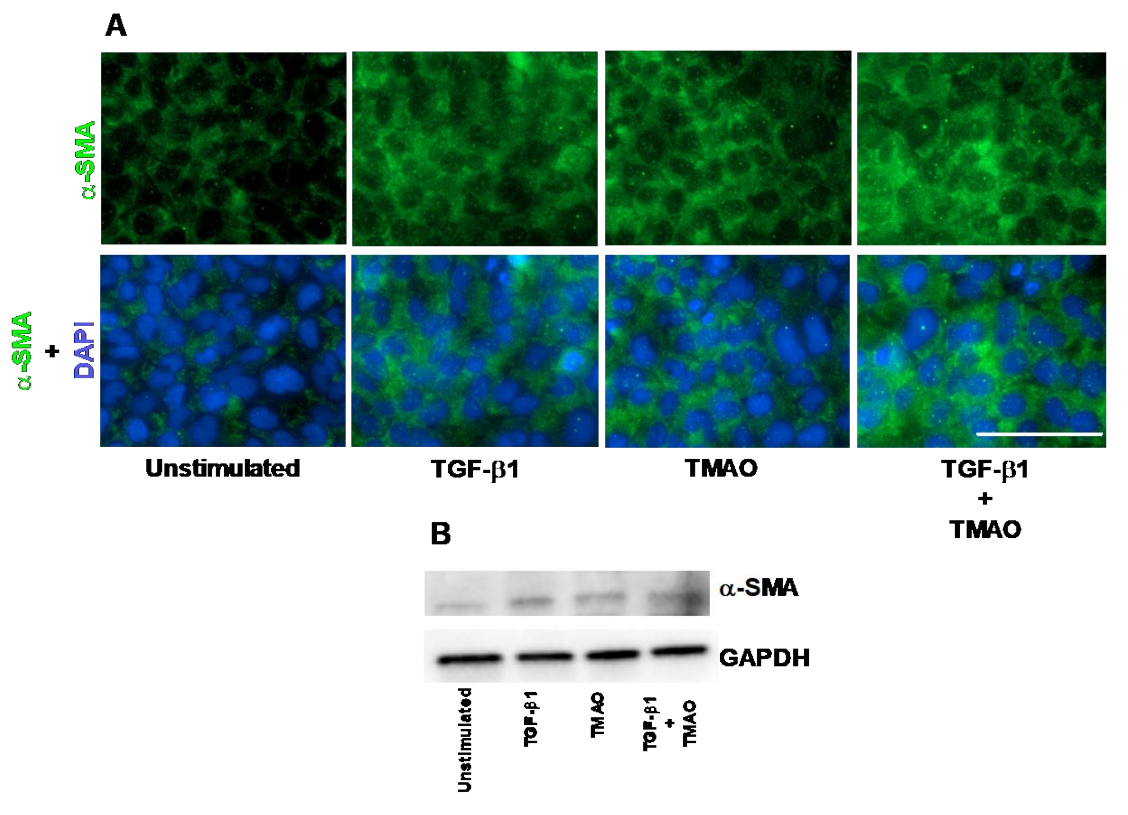 Ijms 22 11864 g001 550