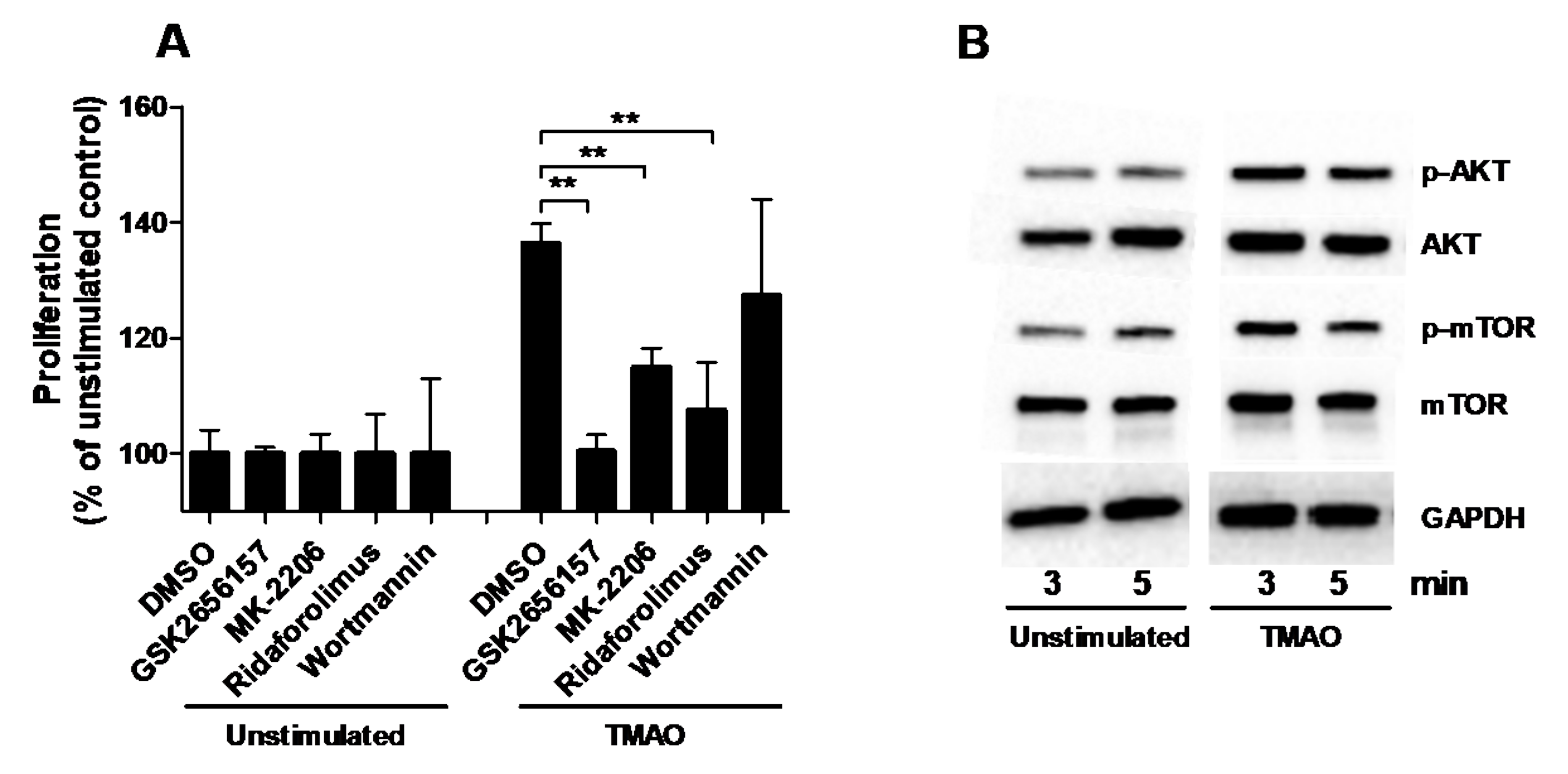 Ijms 22 11864 g003 550