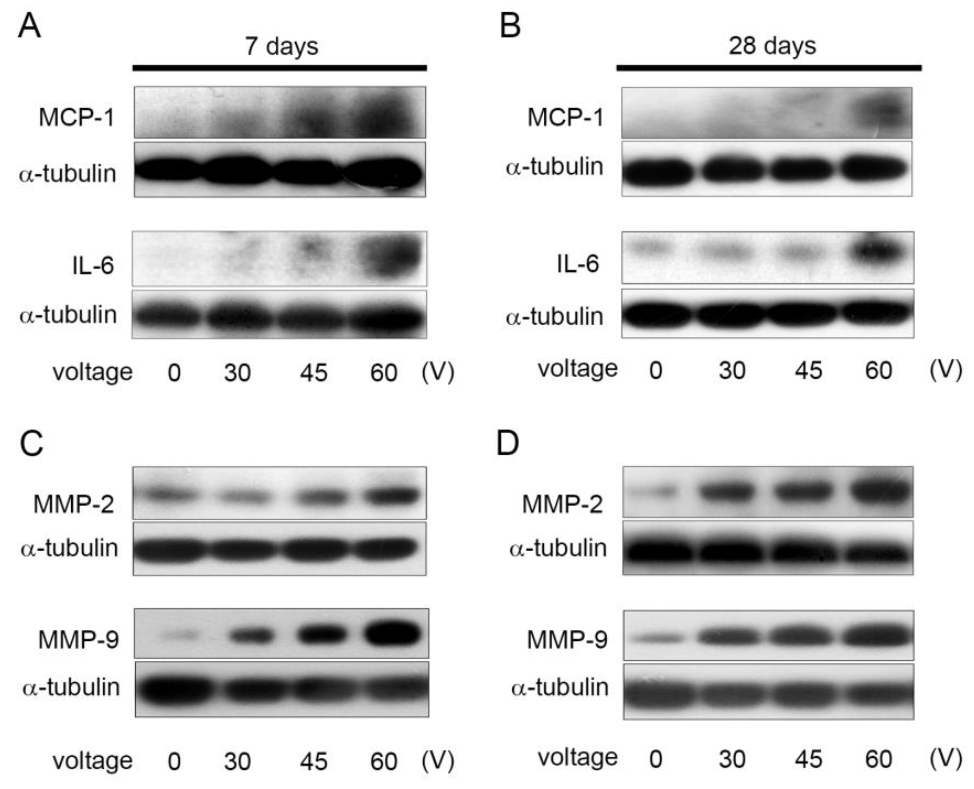 Ijms 22 11865 g003 550