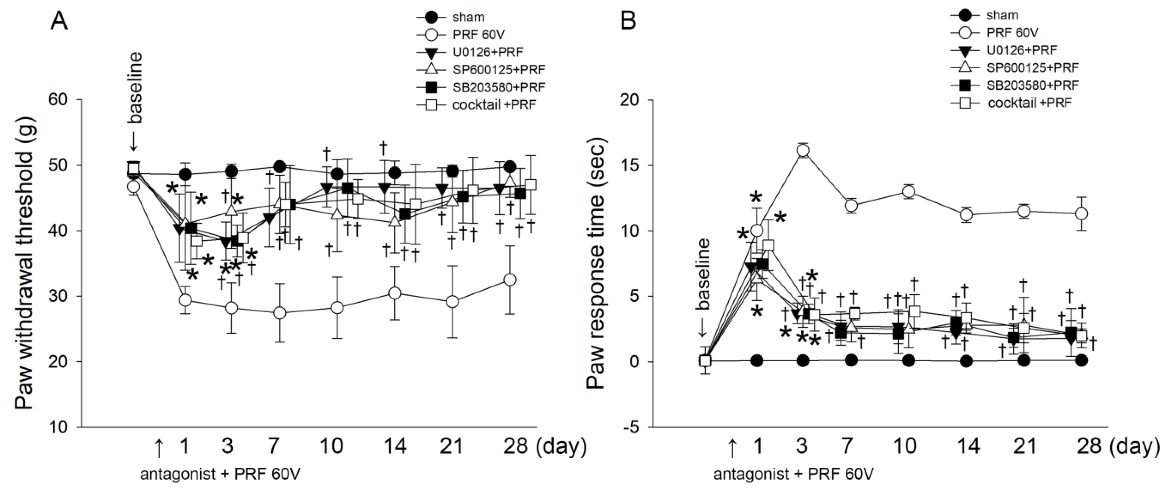 Ijms 22 11865 g005 550