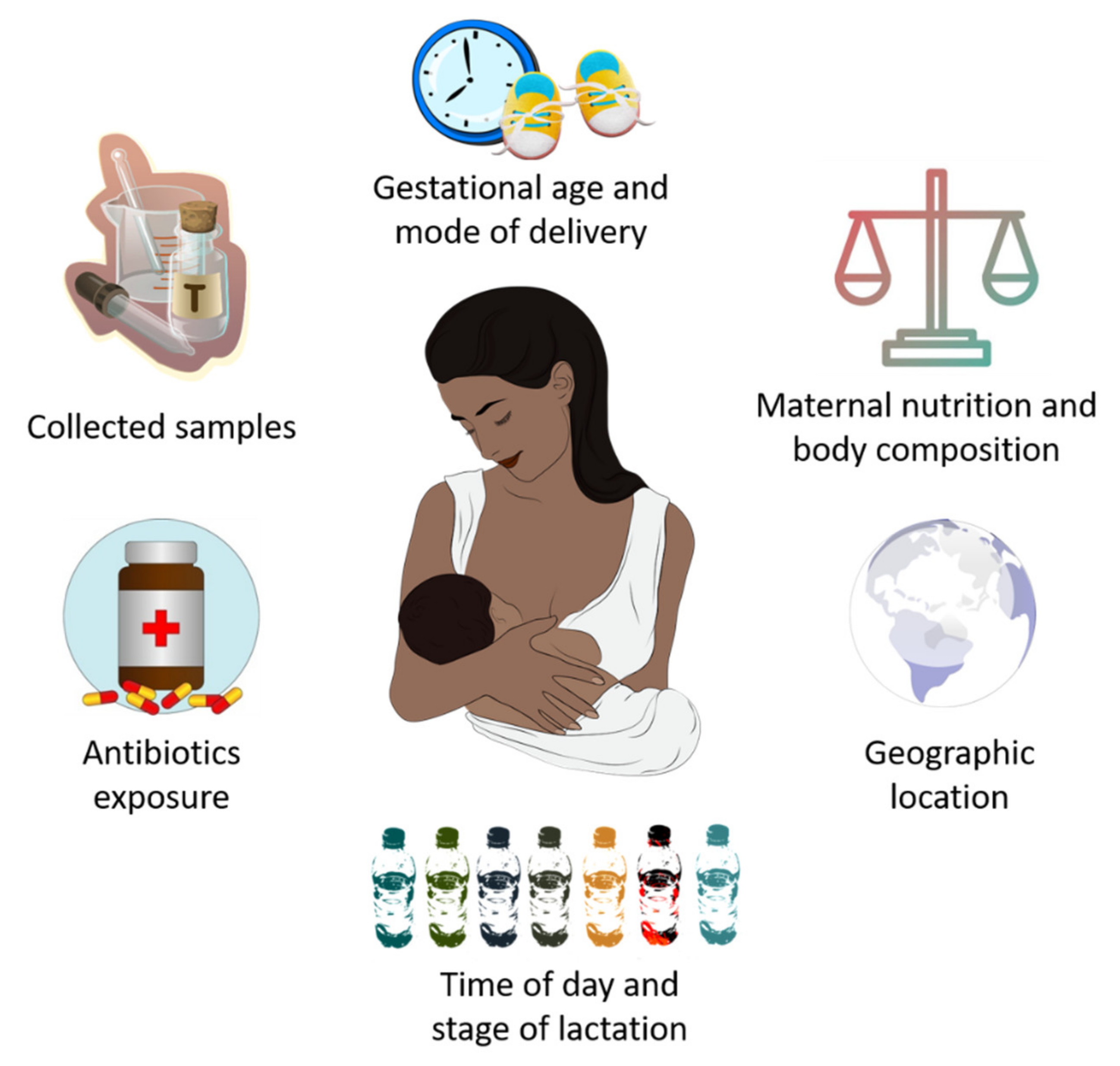IJMS Free FullText Short and LongTerm Implications of Human Milk