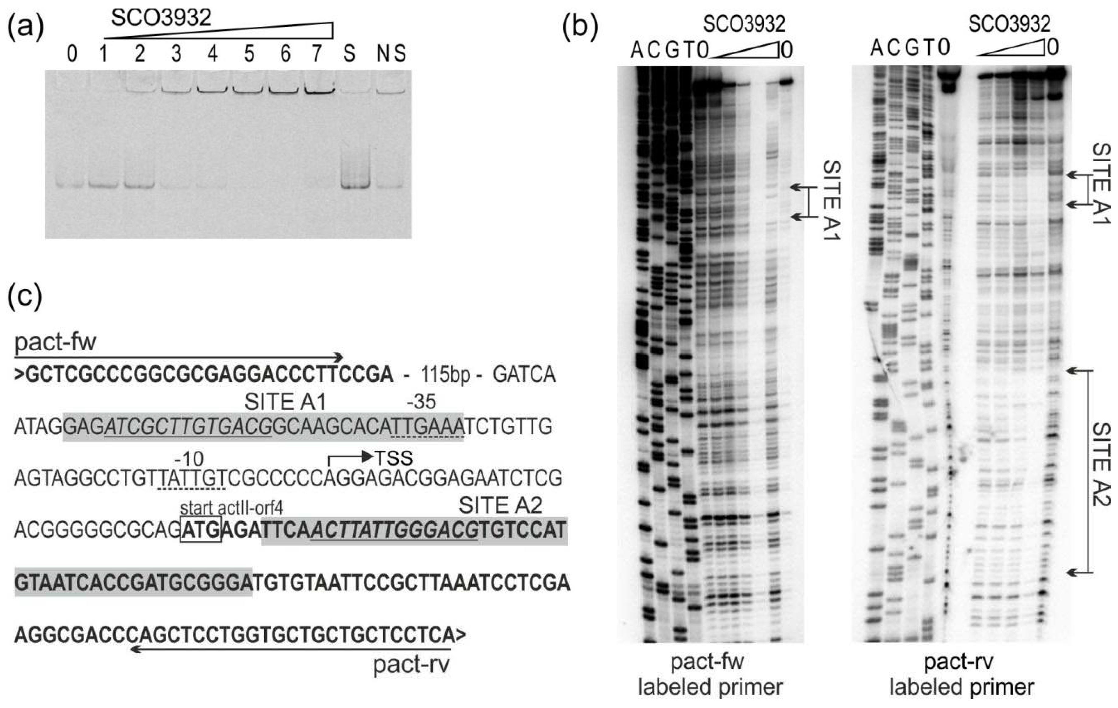 Ijms 22 11867 g003 Ijms 22 11867 g003