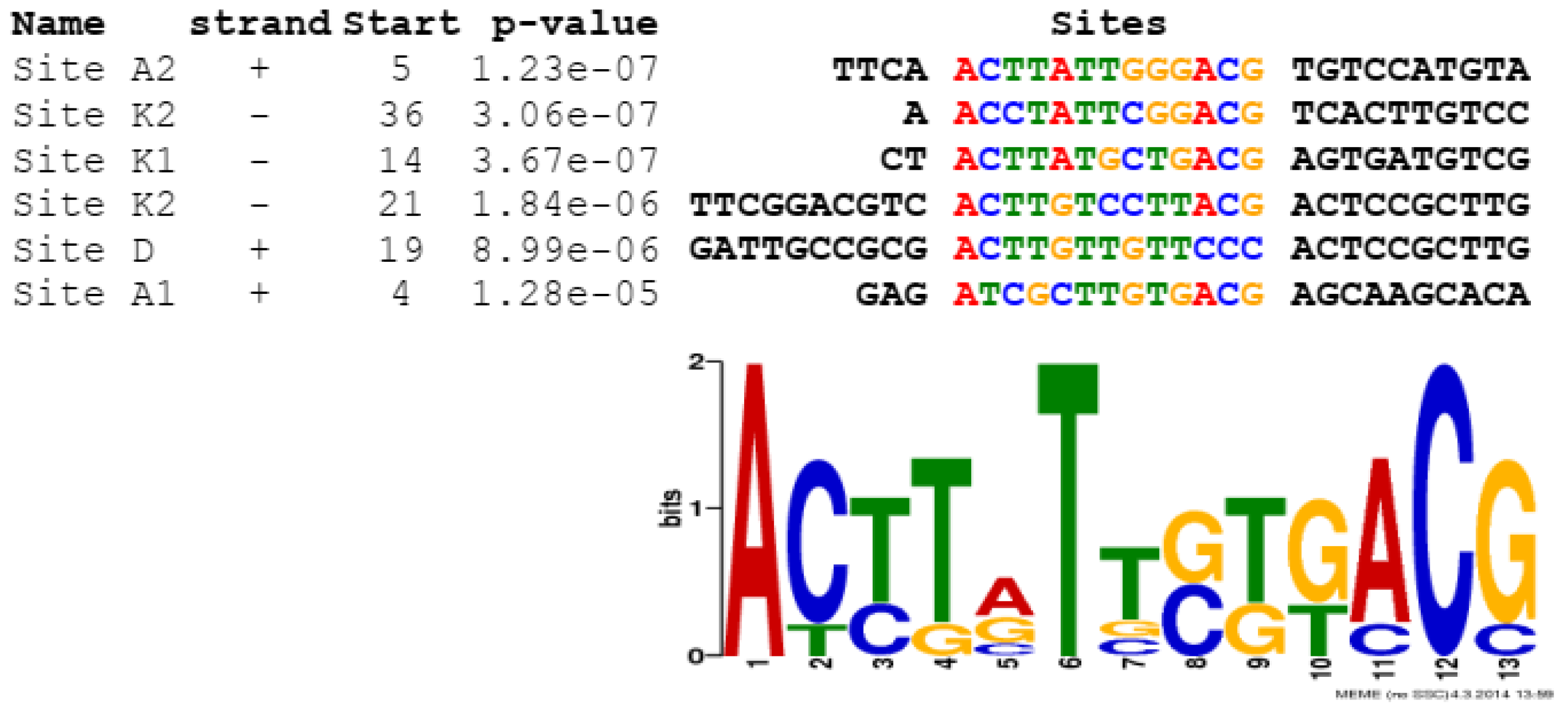 Ijms 22 11867 g004 Ijms 22 11867 g004