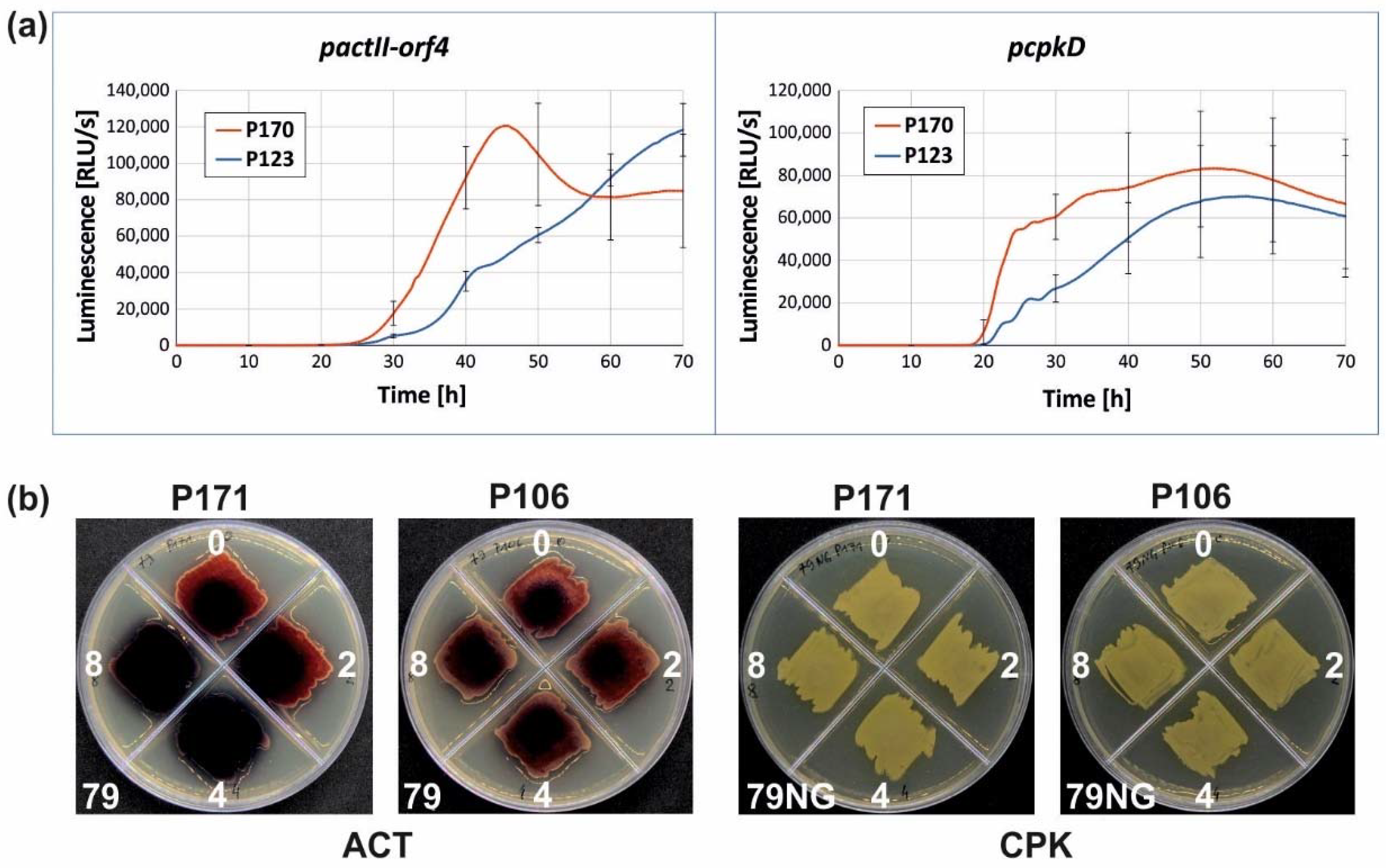 Ijms 22 11867 g006 Ijms 22 11867 g006