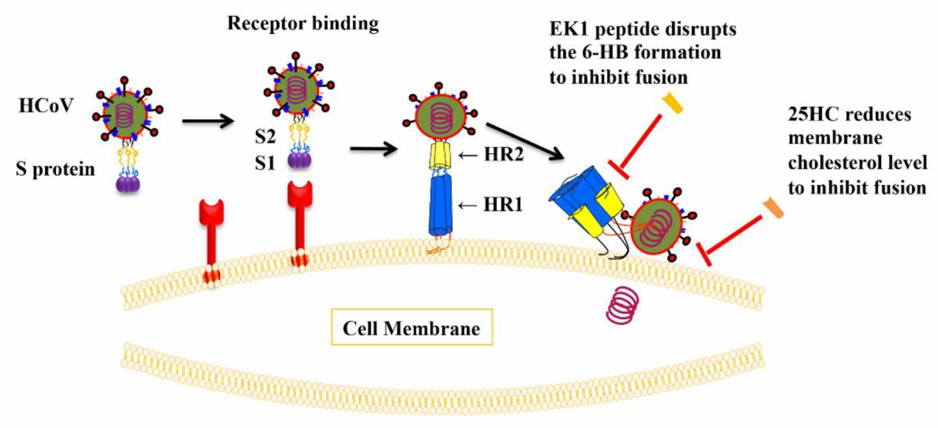 Ijms 22 11869 g001 550