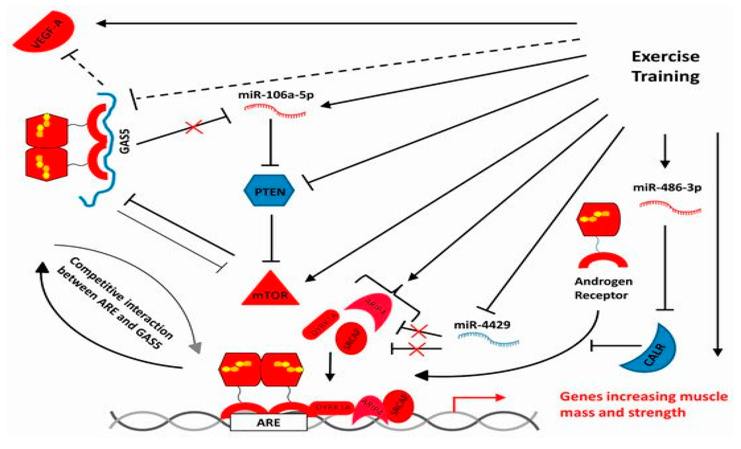 Ijms 22 11873 g002 550