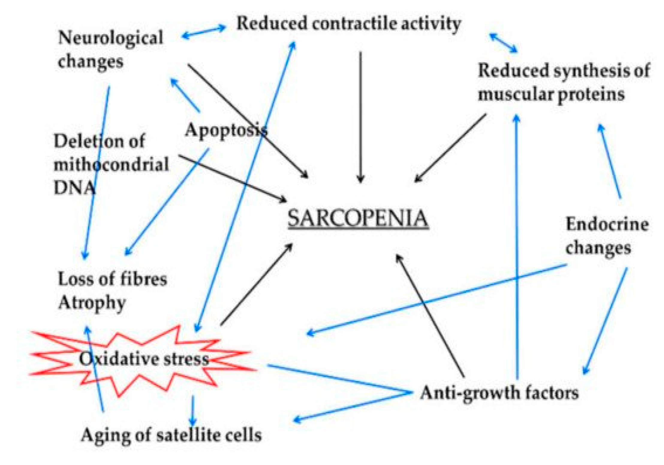 Ijms 22 11873 g003 550