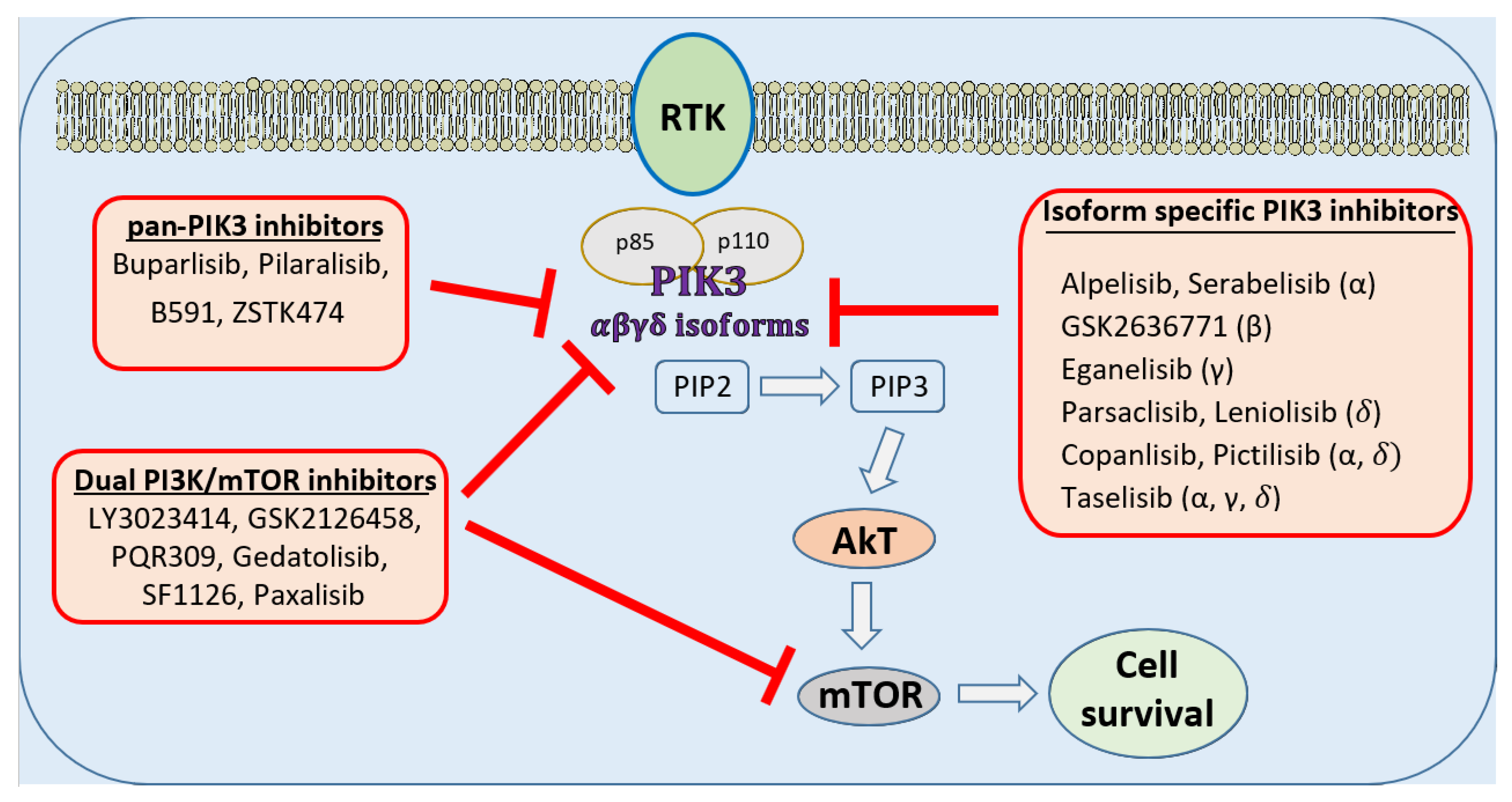 IJMS Free FullText PI3Kinase Inhibition in Hormone Receptor