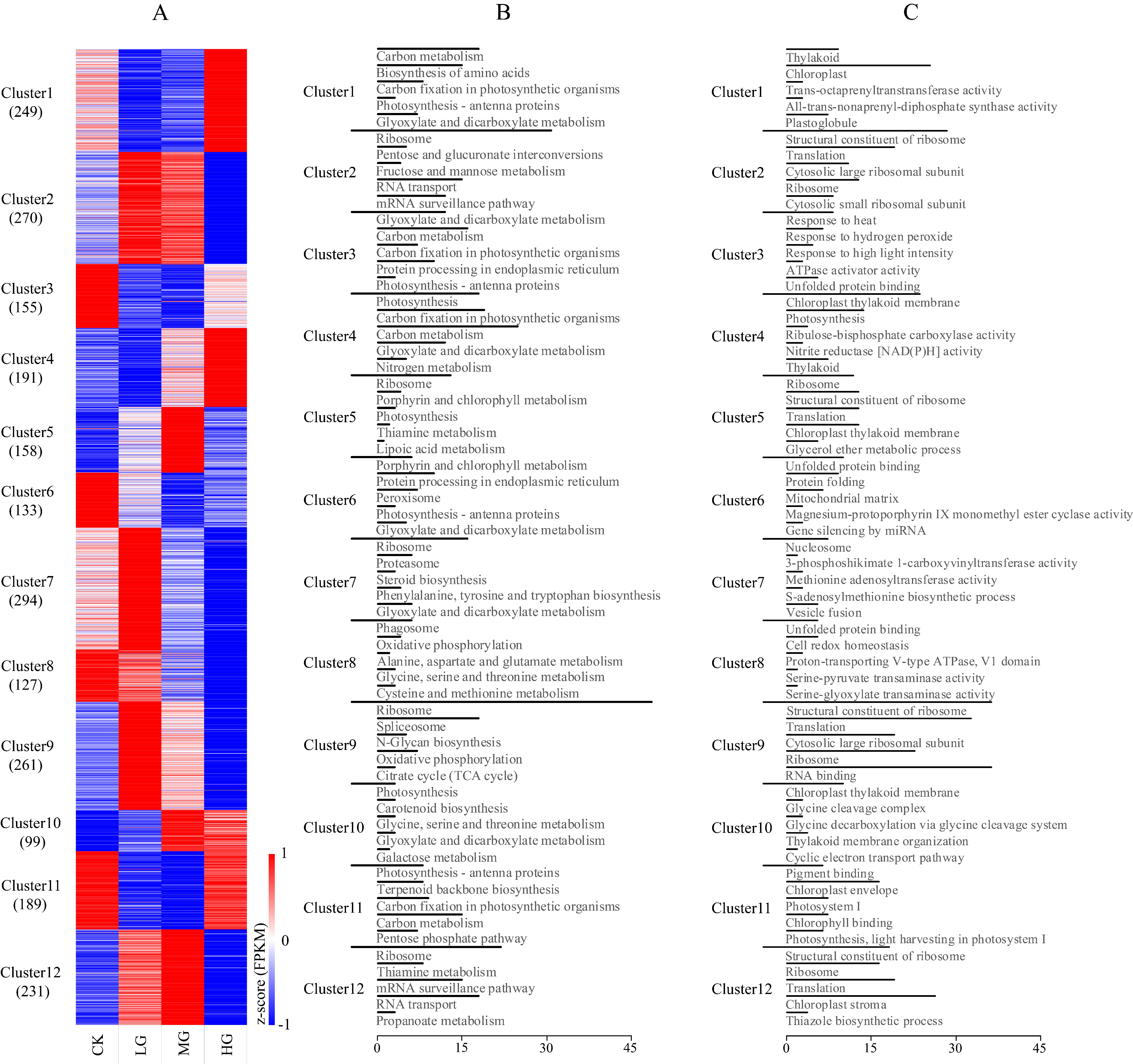 Ijms 22 11882 g001 550