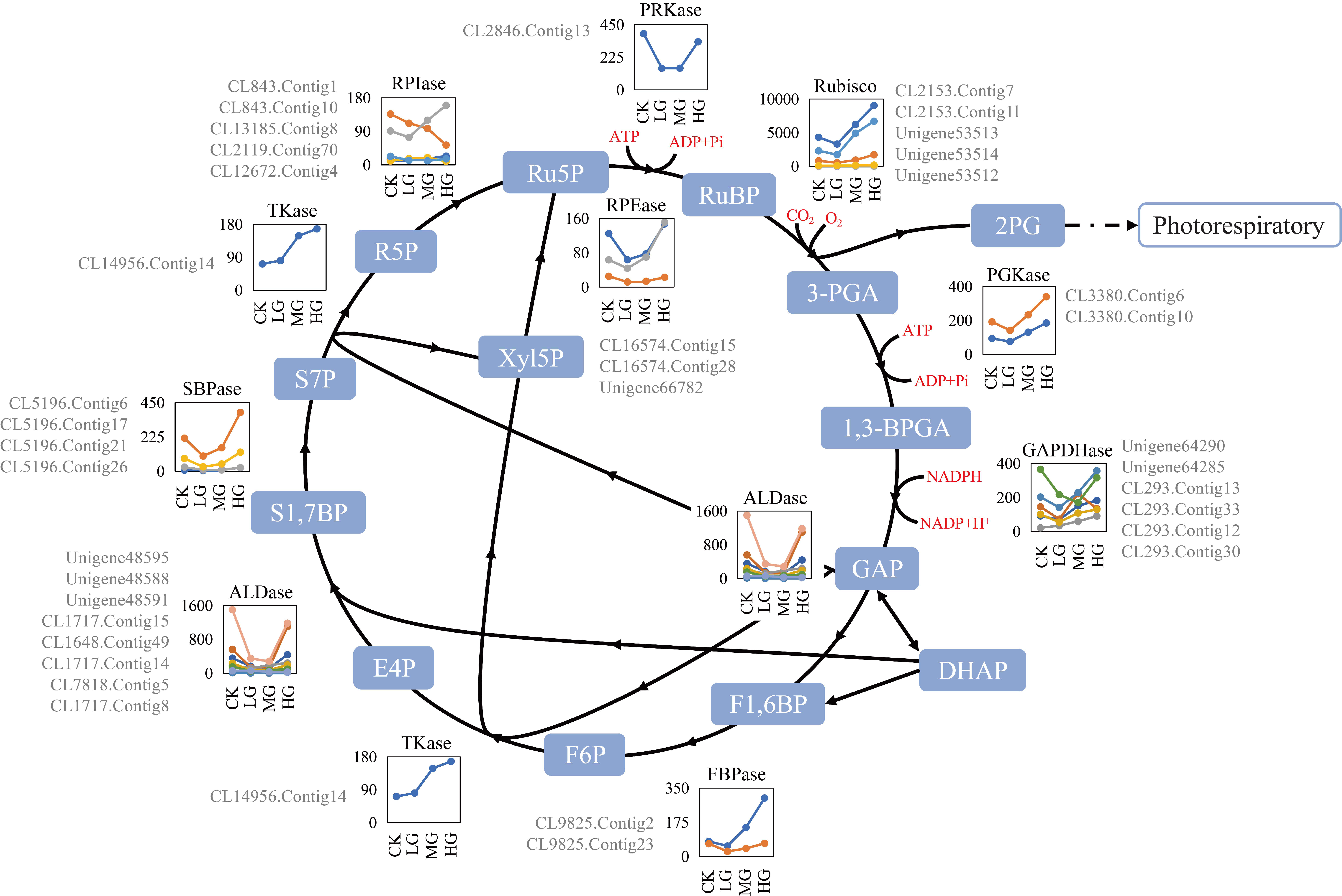 Ijms 22 11882 g002 550