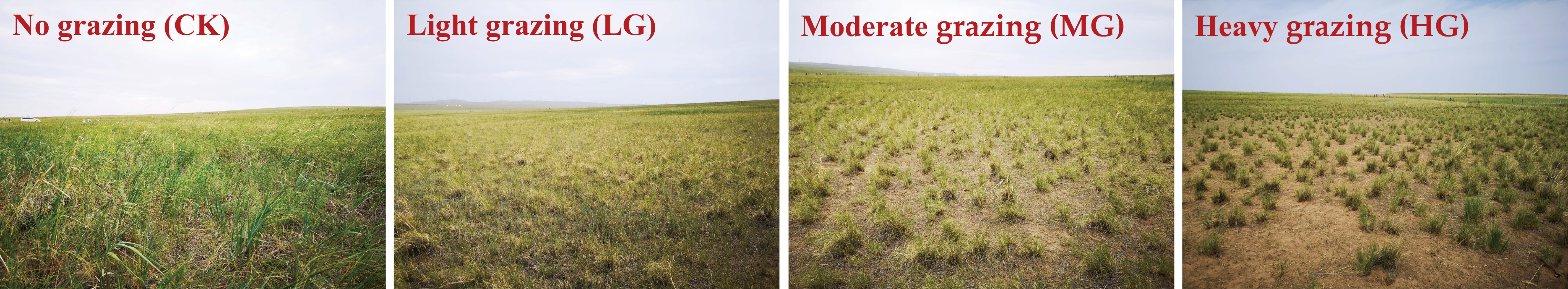 Ijms 22 11882 g005 550