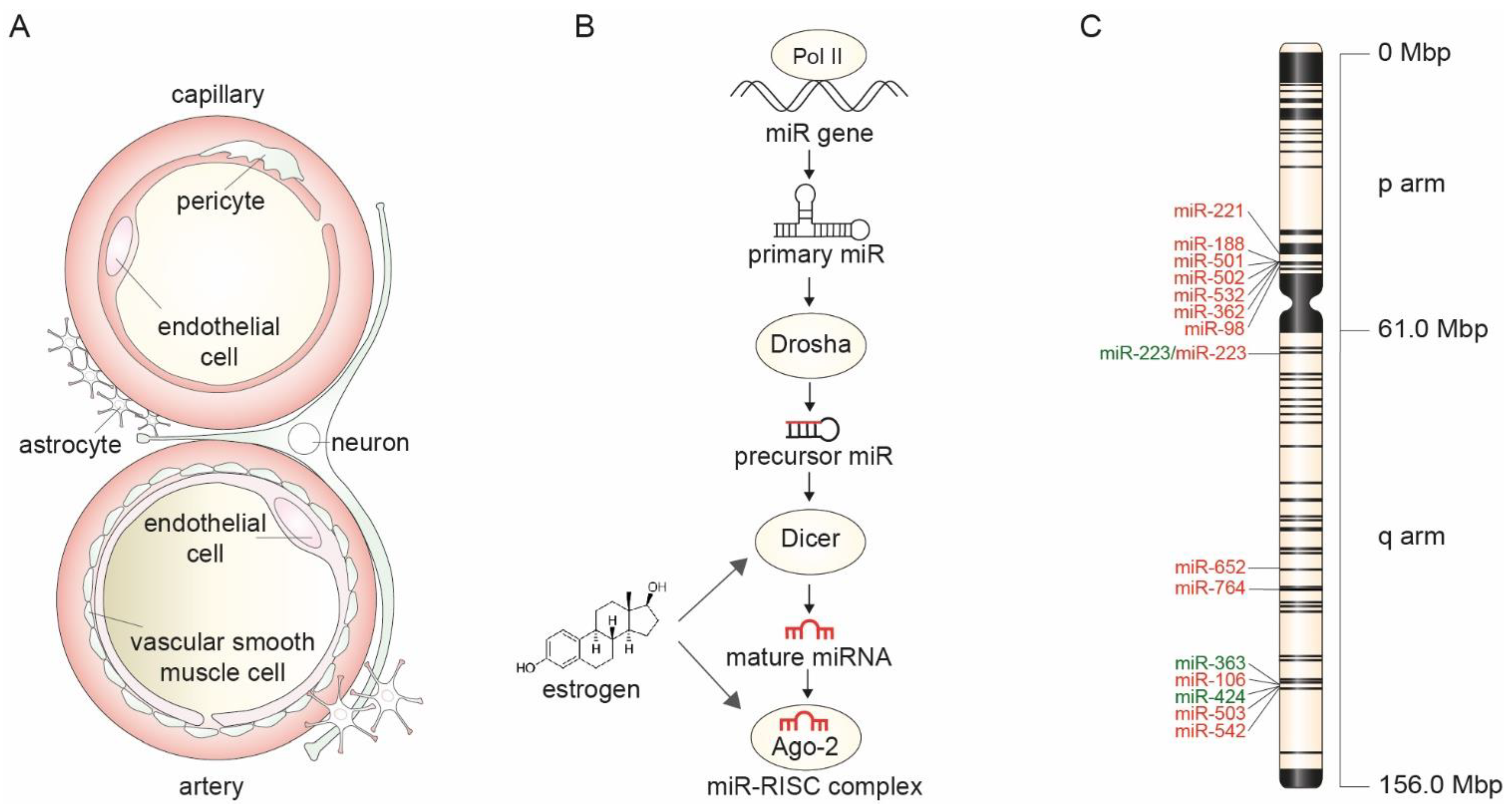 Ijms 22 11888 g001 Ijms 22 11888 g001
