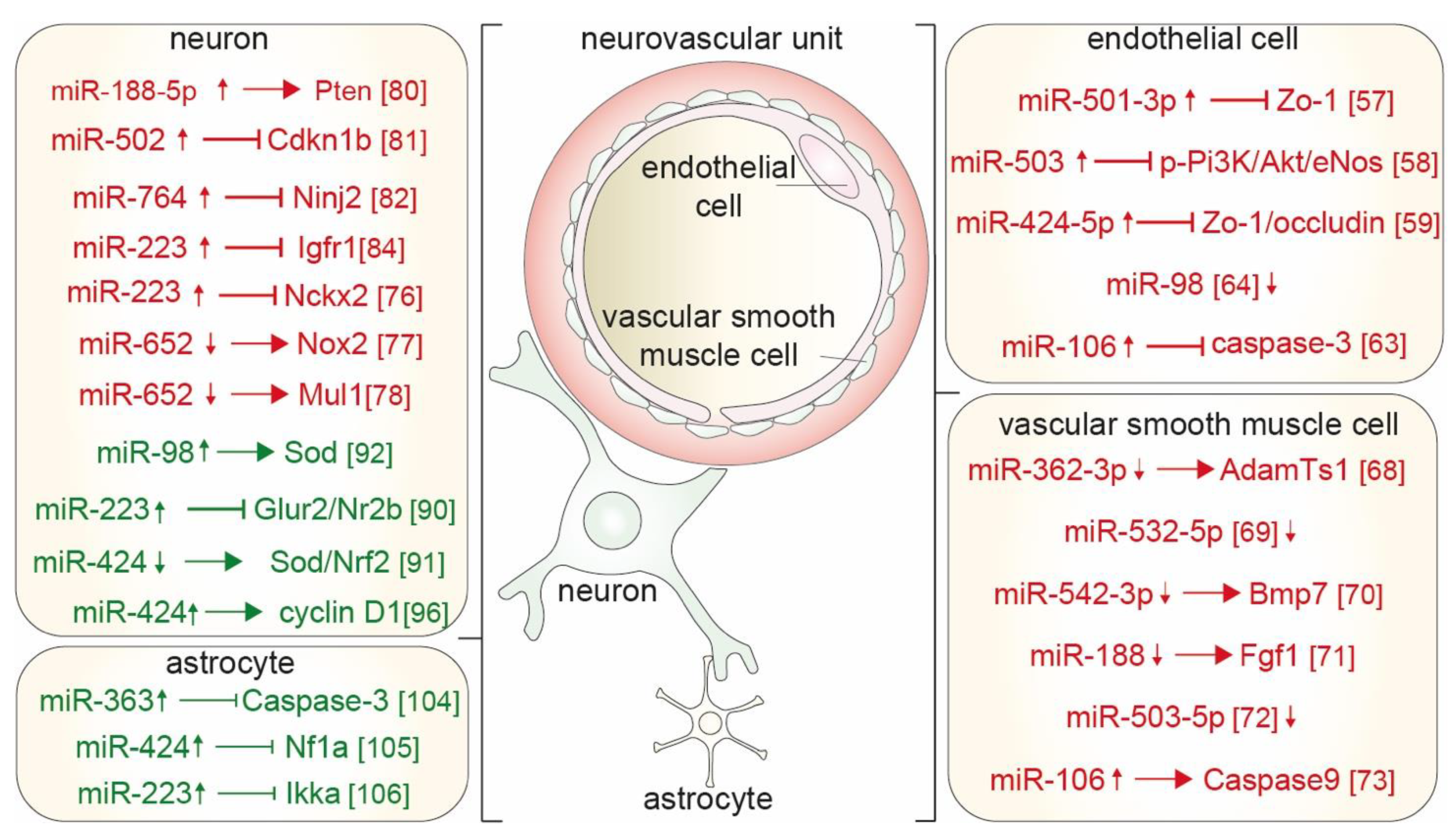 Ijms 22 11888 g002 Ijms 22 11888 g002