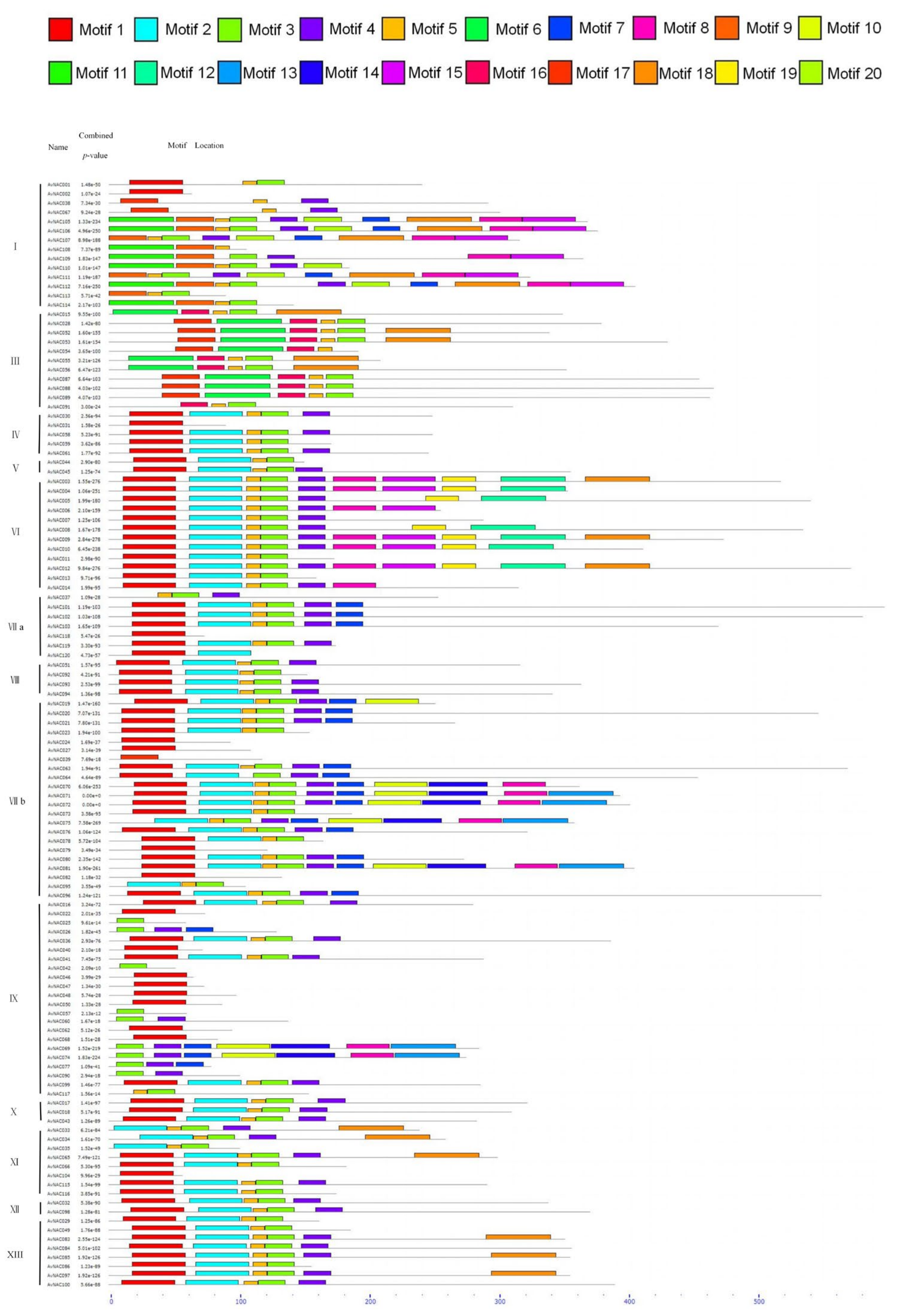 Ijms 22 11897 g002 550