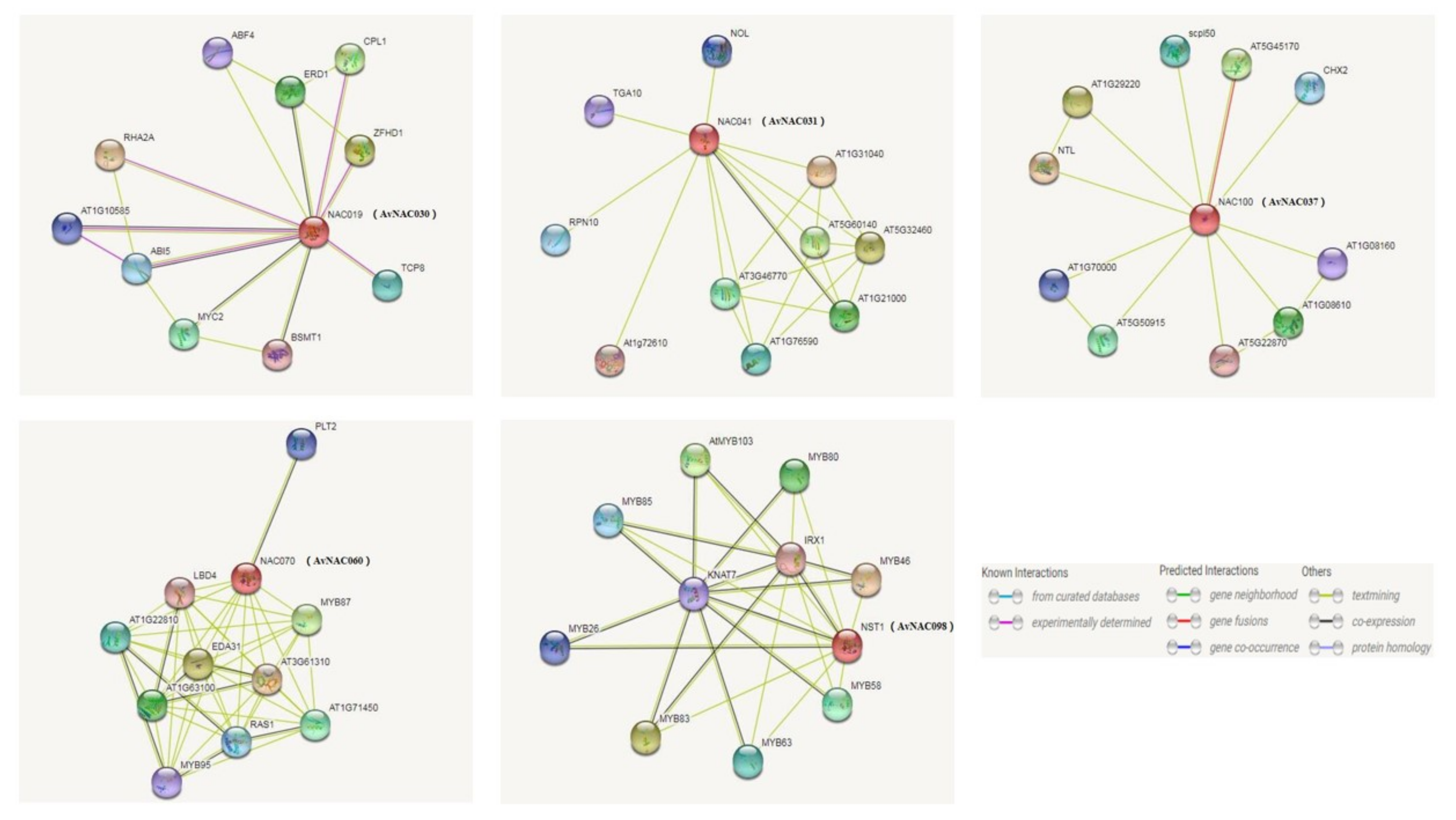 Ijms 22 11897 g005 550